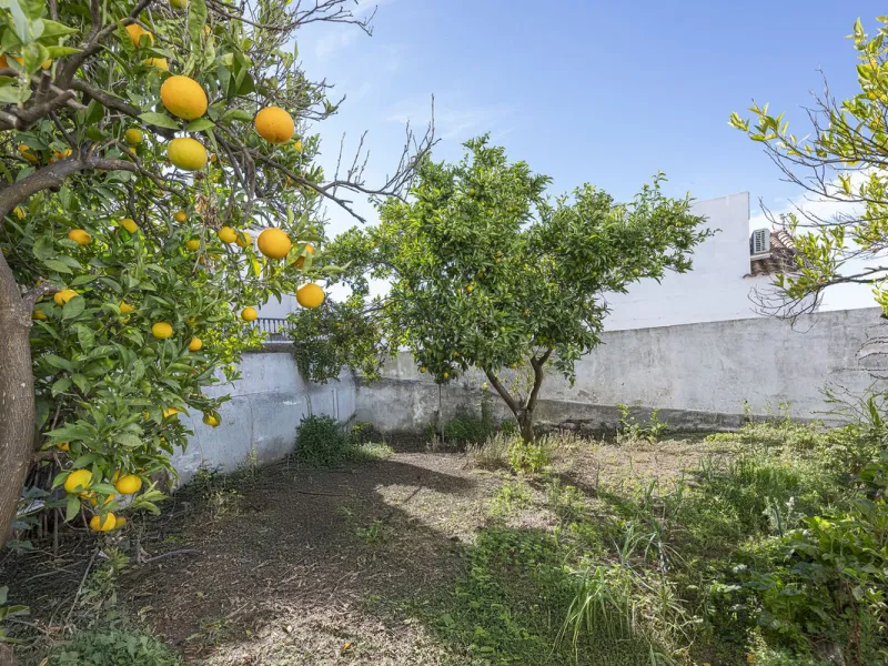 ???? Family Home with Unparalleled Panoramic Views – 321 m² built area, 145 m² garden, and 334 m² plot