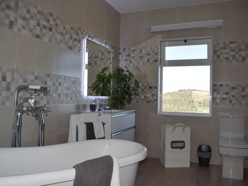 Incredible Cortijo 1h away from Ronda, a fabulous family home and rental business.