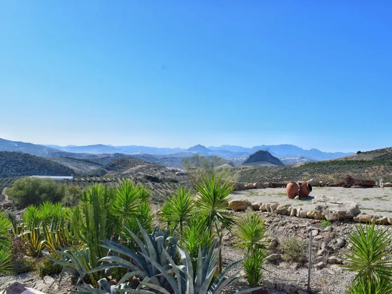 Incredible Cortijo 1h away from Ronda, a fabulous family home and rental business.