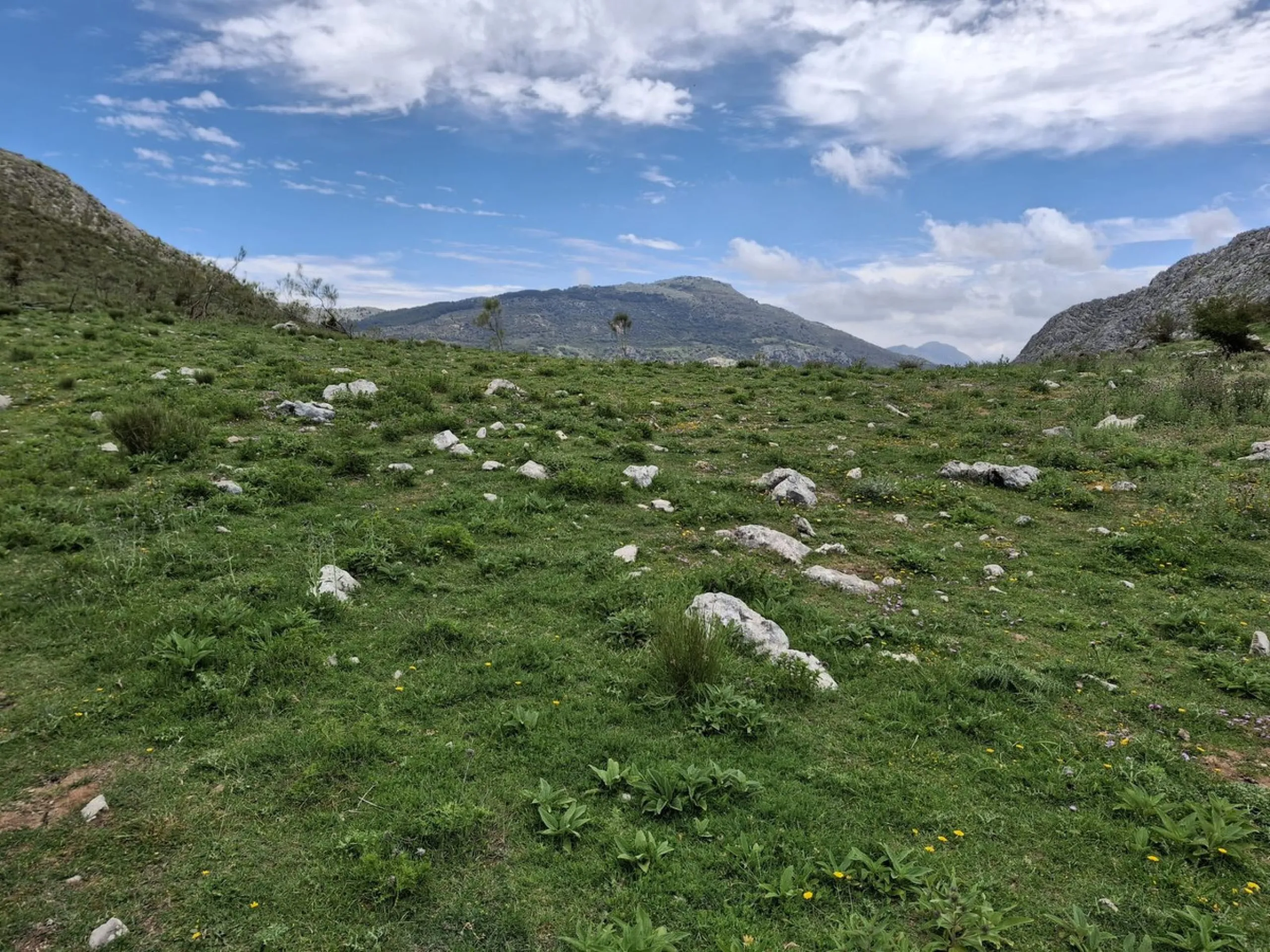 Natural Paradise for Sale: Exclusive Estate in the Montes de Málaga