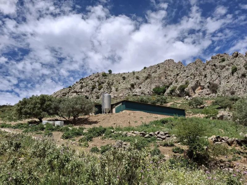 Natural Paradise for Sale: Exclusive Estate in the Montes de Málaga