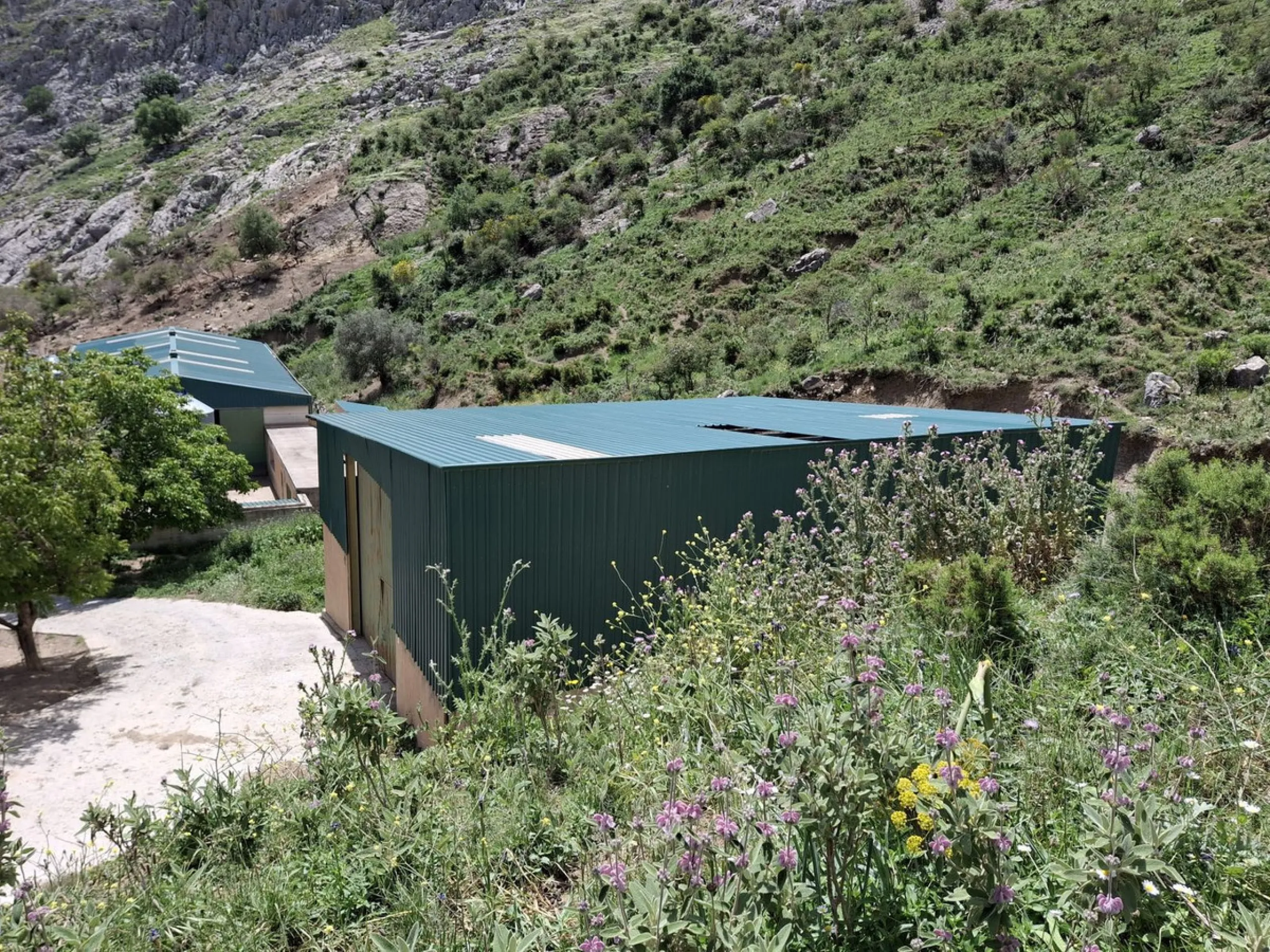 Natural Paradise for Sale: Exclusive Estate in the Montes de Málaga