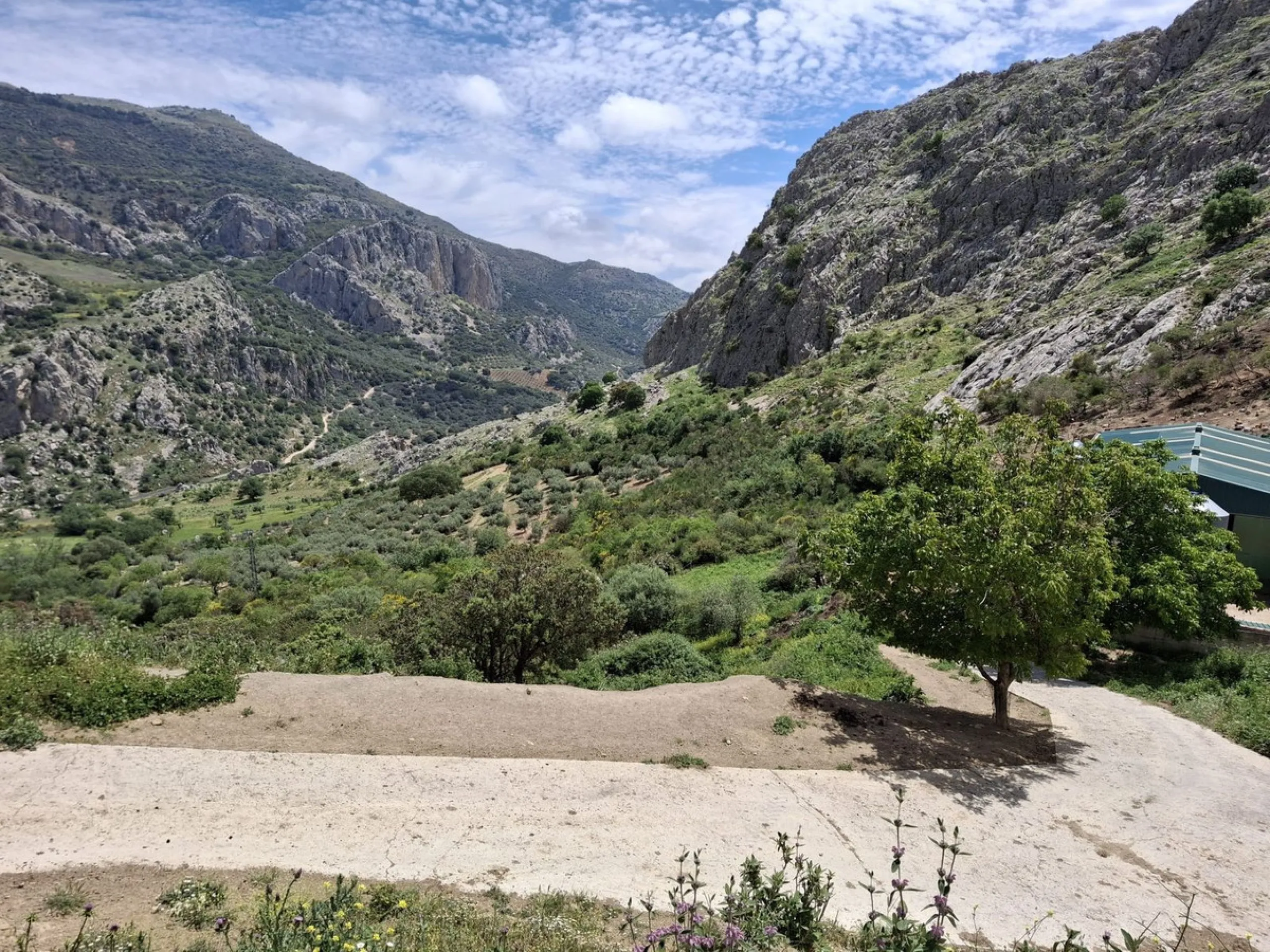 Natural Paradise for Sale: Exclusive Estate in the Montes de Málaga