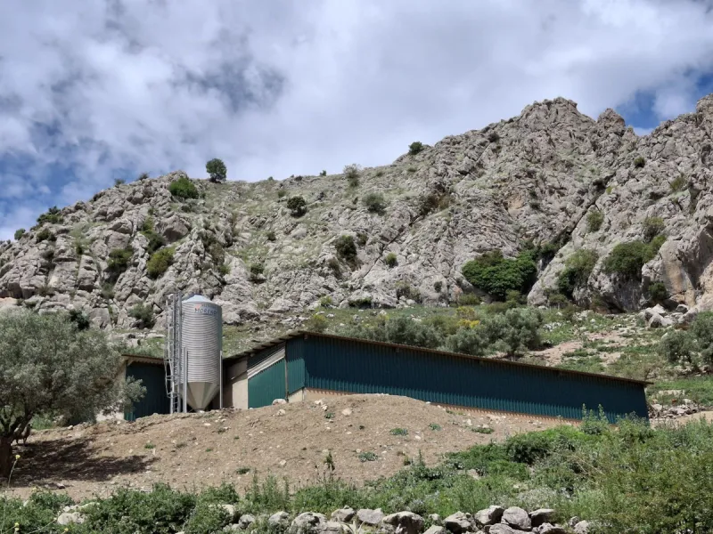 Natural Paradise for Sale: Exclusive Estate in the Montes de Málaga