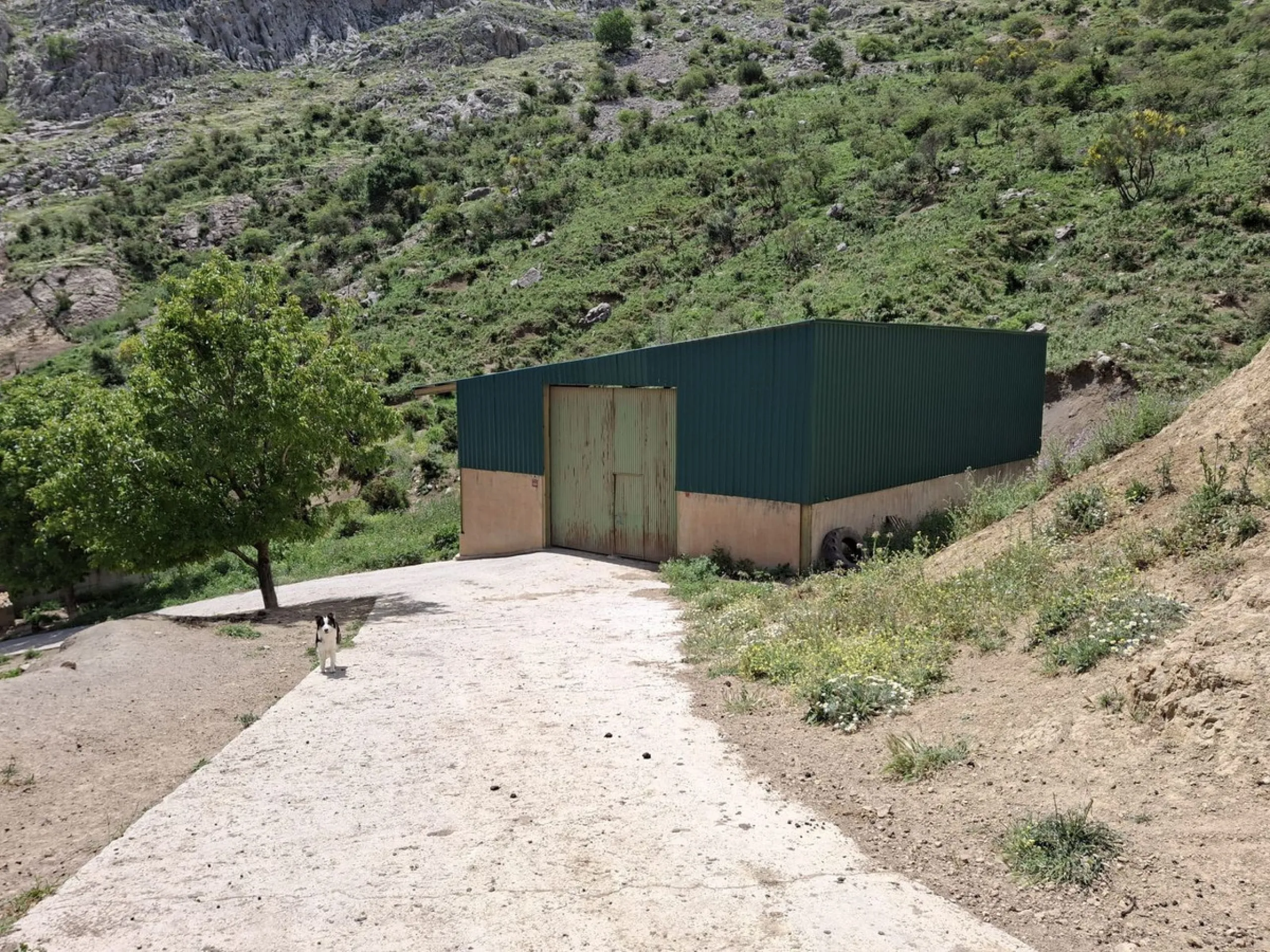 Natural Paradise for Sale: Exclusive Estate in the Montes de Málaga