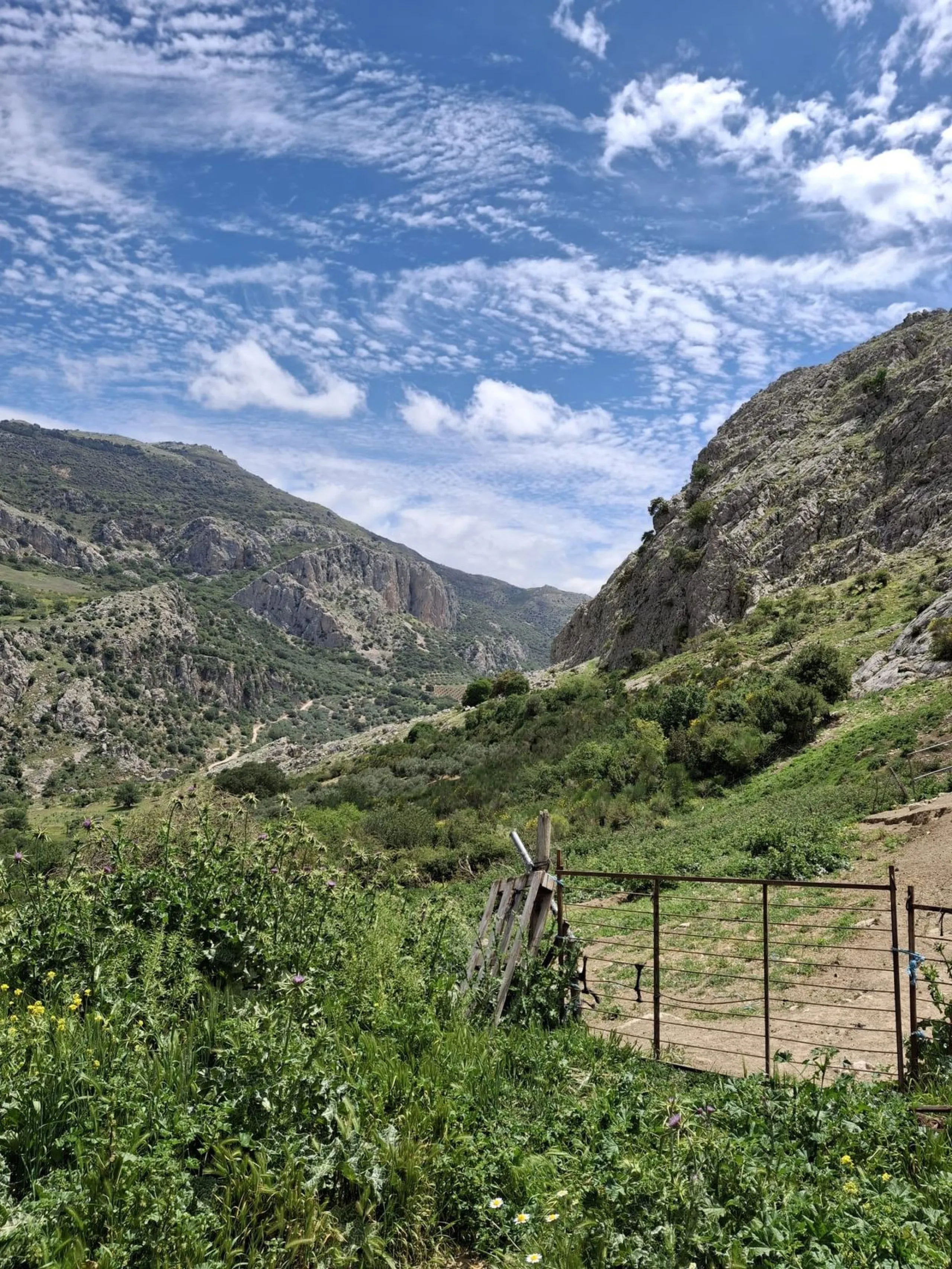 Natural Paradise for Sale: Exclusive Estate in the Montes de Málaga