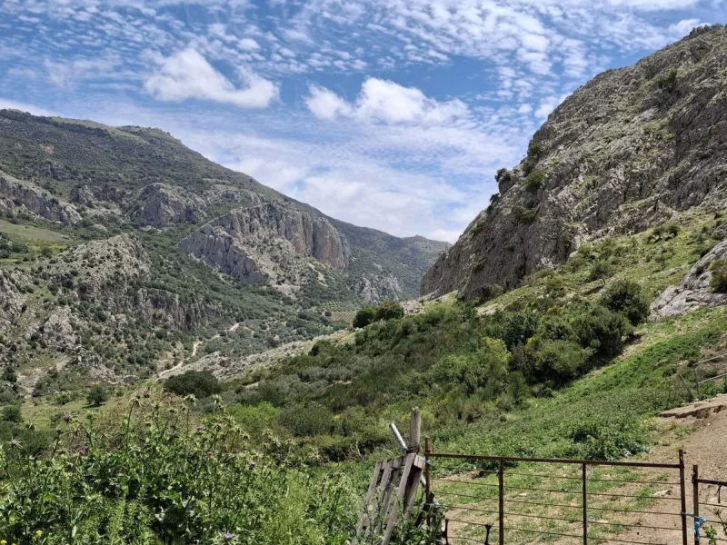 Natural Paradise for Sale: Exclusive Estate in the Montes de Málaga