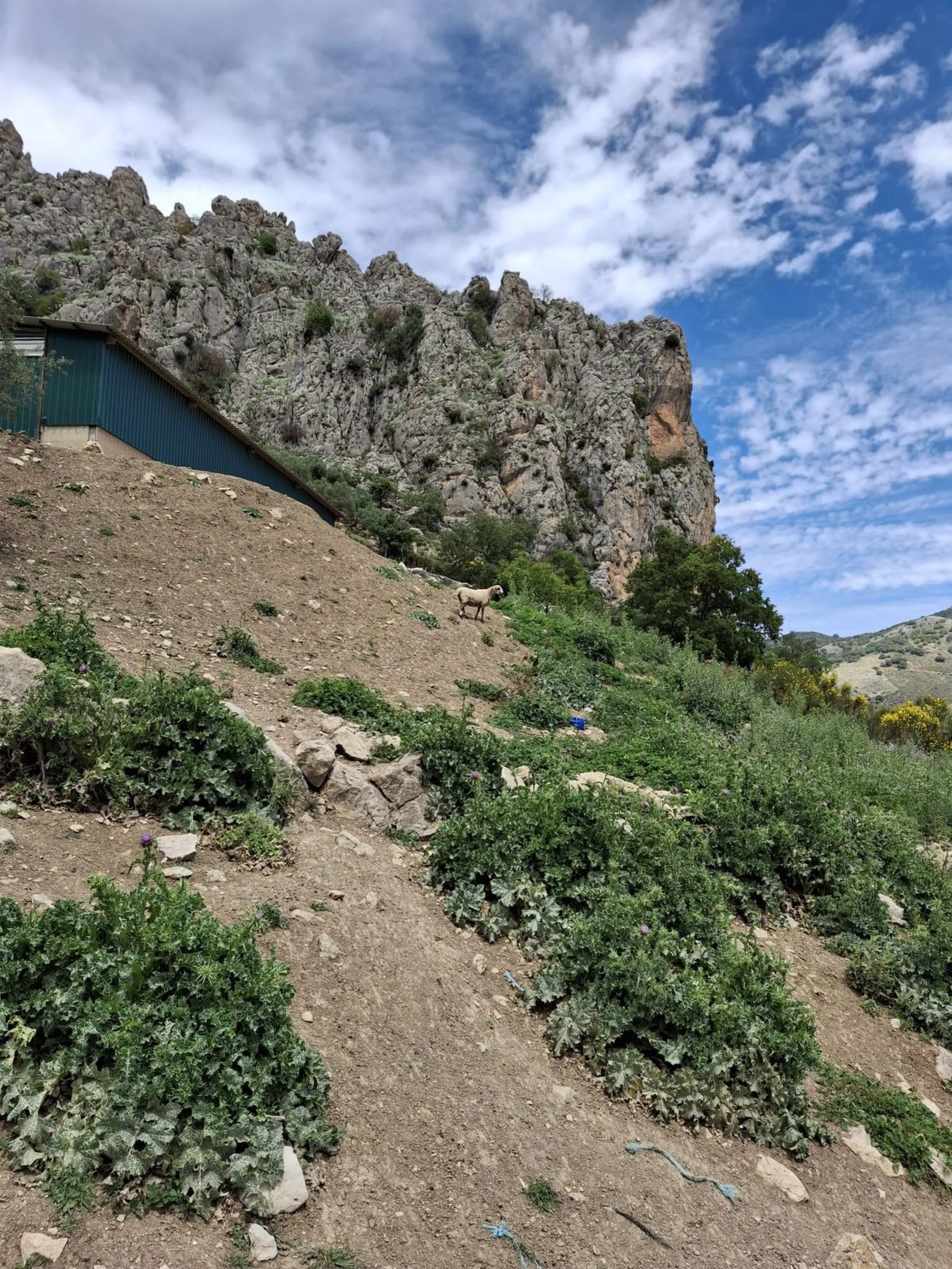 Natural Paradise for Sale: Exclusive Estate in the Montes de Málaga