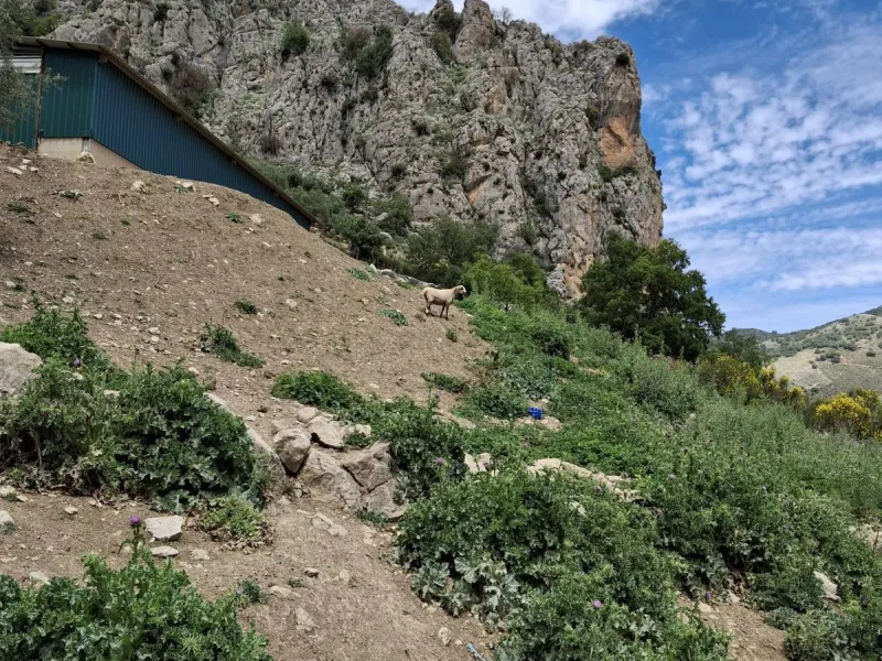 Natural Paradise for Sale: Exclusive Estate in the Montes de Málaga
