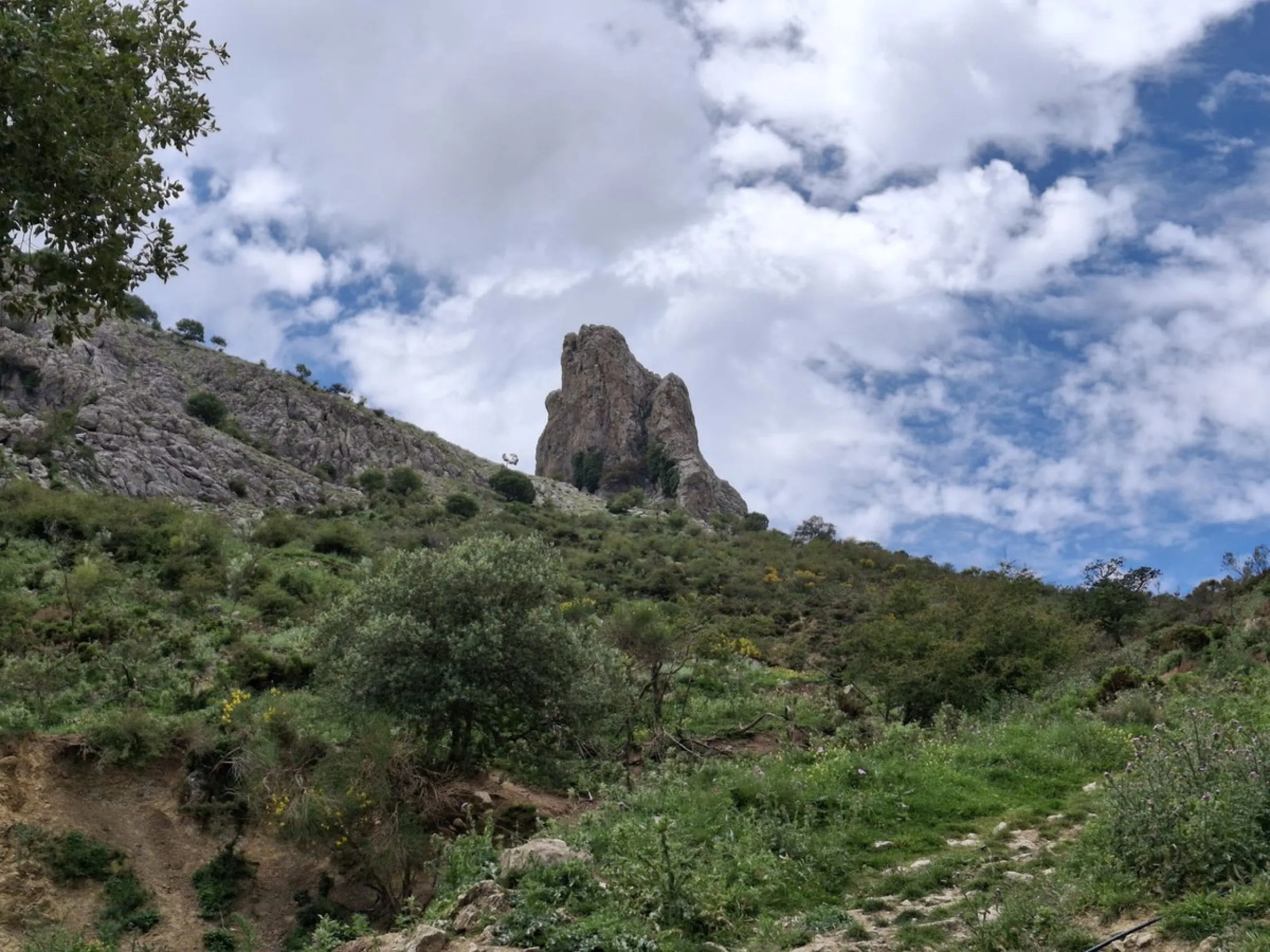Natural Paradise for Sale: Exclusive Estate in the Montes de Málaga