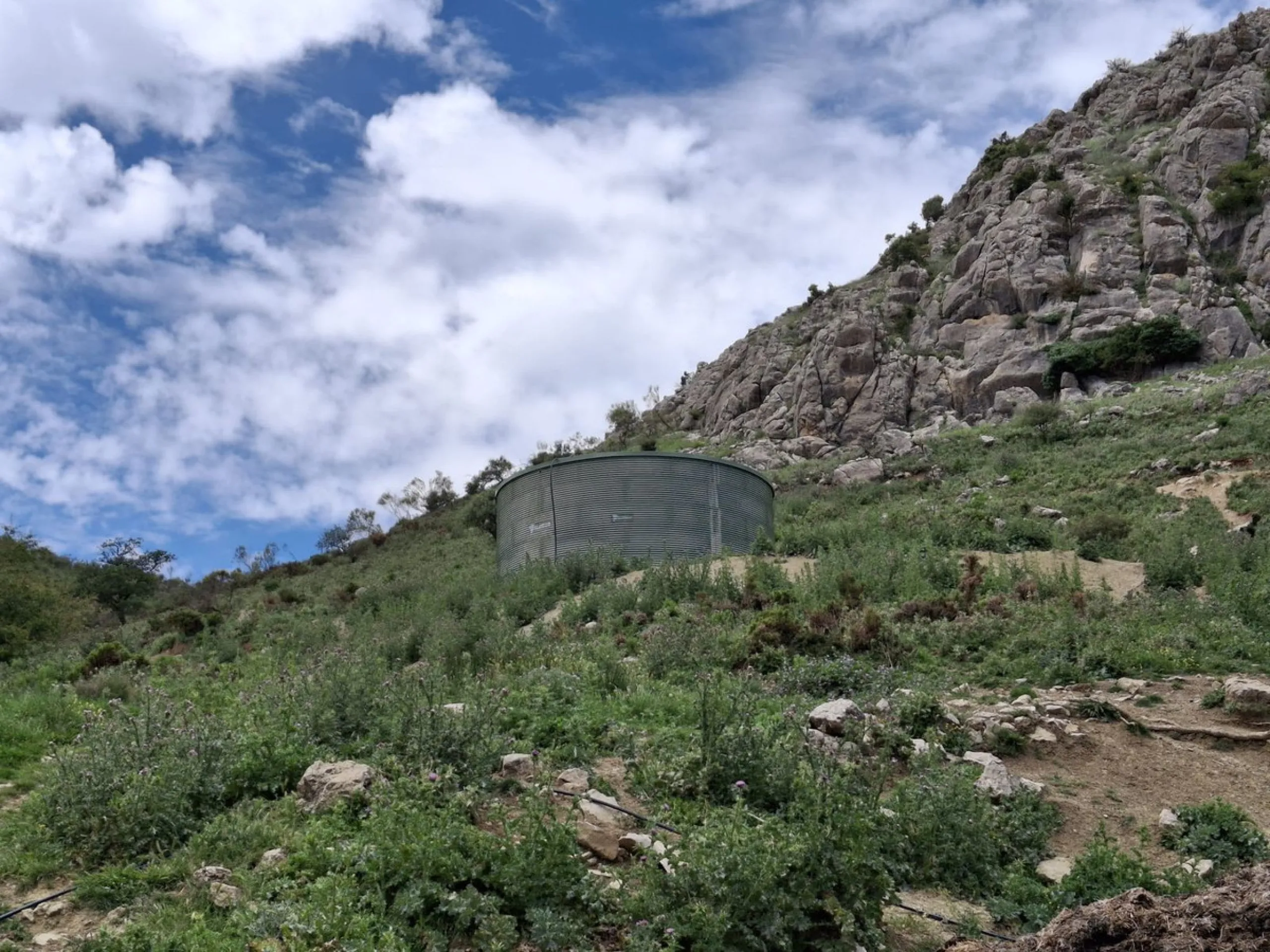 Natural Paradise for Sale: Exclusive Estate in the Montes de Málaga