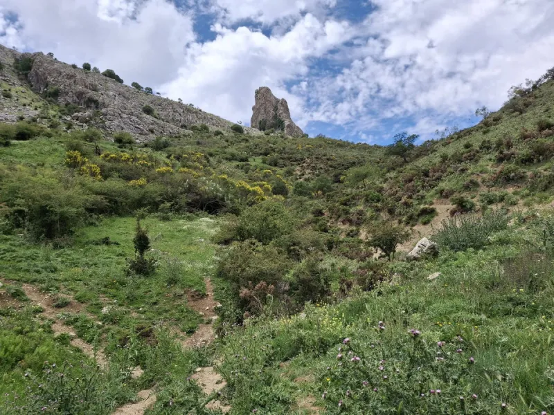 Natural Paradise for Sale: Exclusive Estate in the Montes de Málaga