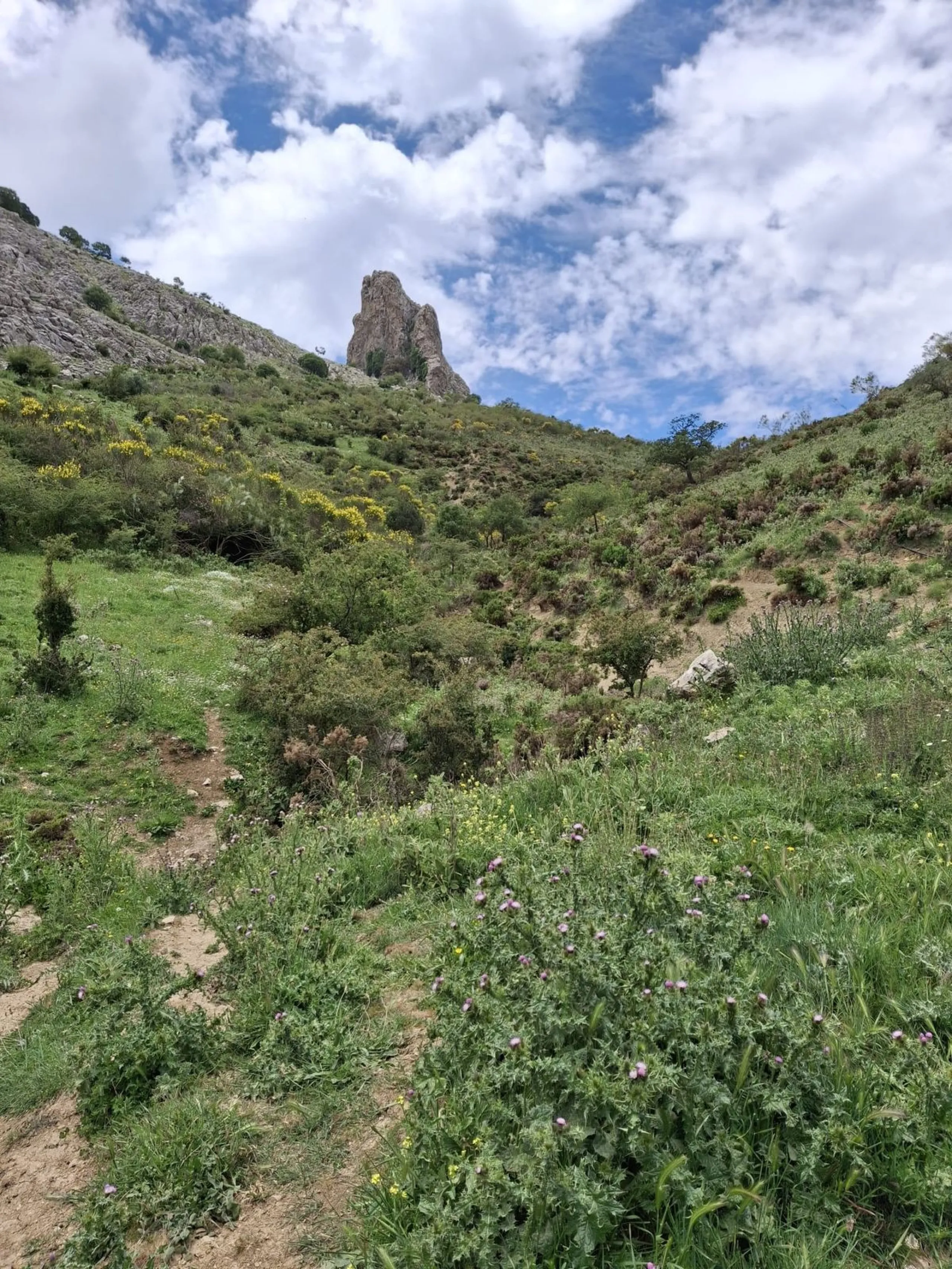 Natural Paradise for Sale: Exclusive Estate in the Montes de Málaga