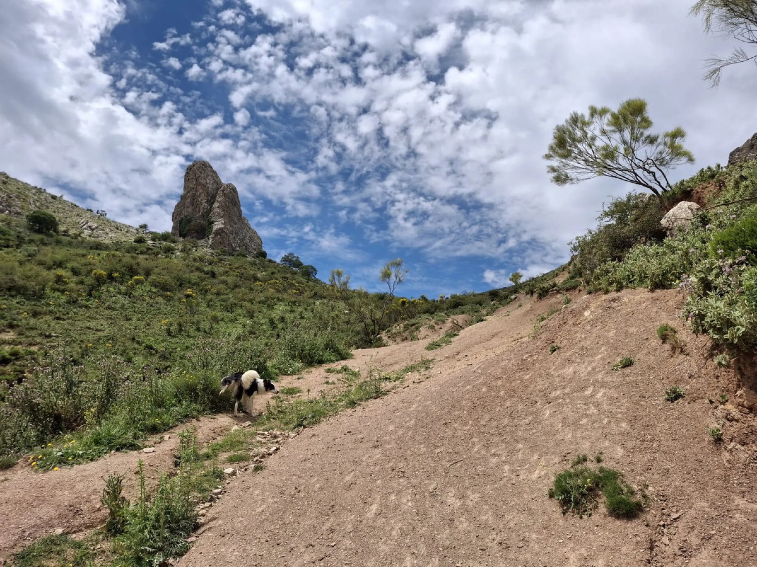 Natural Paradise for Sale: Exclusive Estate in the Montes de Málaga