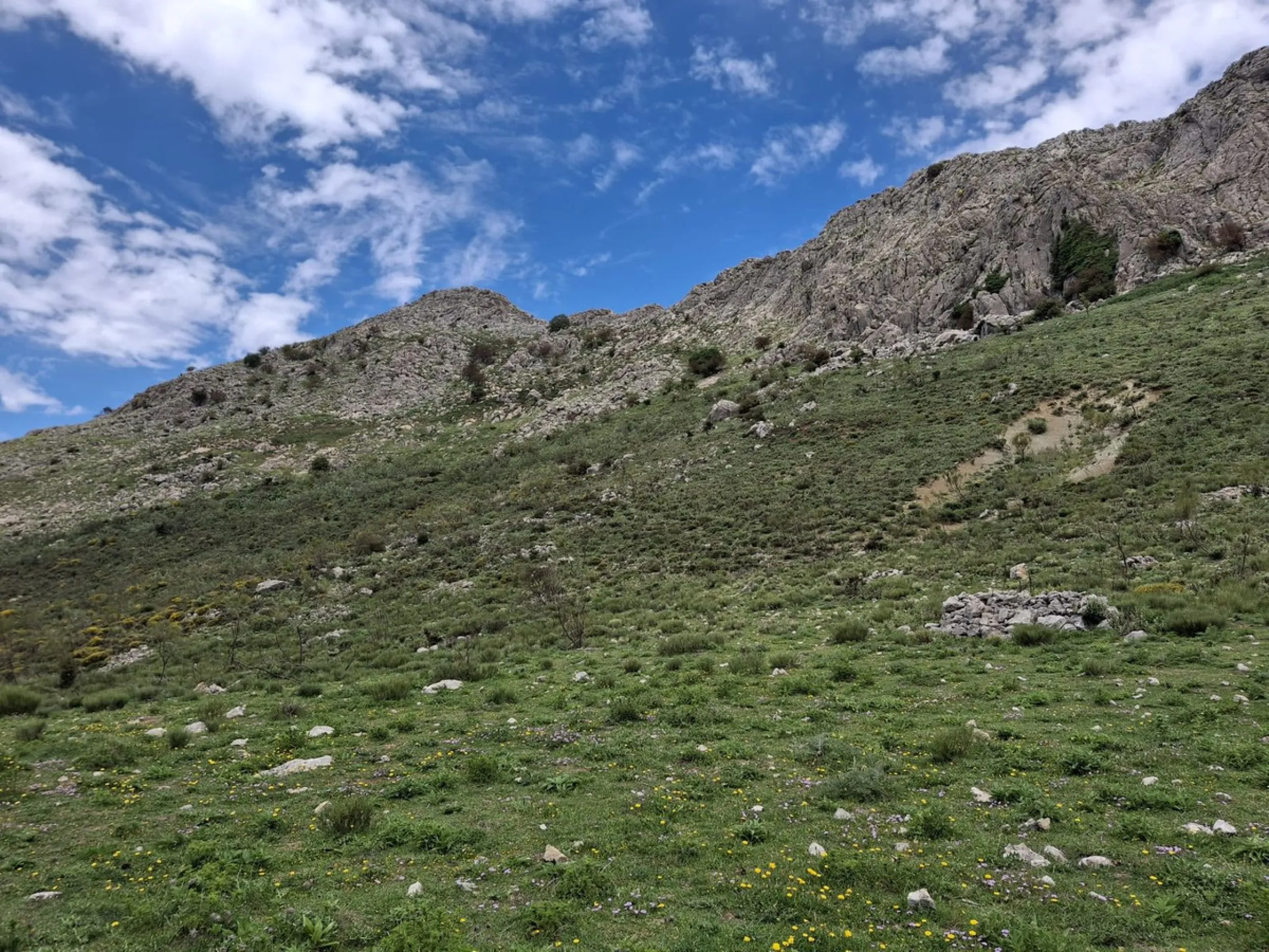 Natural Paradise for Sale: Exclusive Estate in the Montes de Málaga
