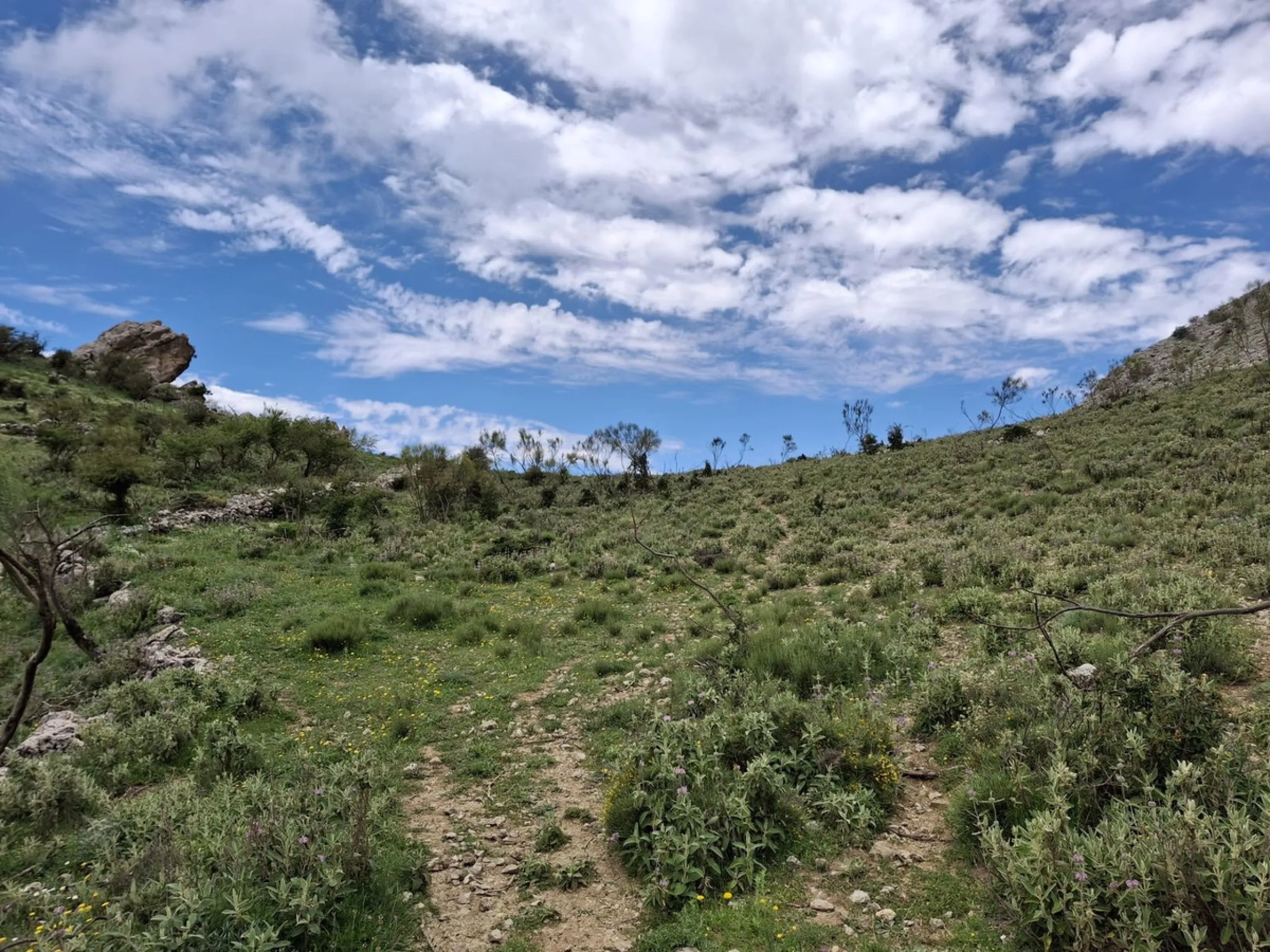 Natural Paradise for Sale: Exclusive Estate in the Montes de Málaga