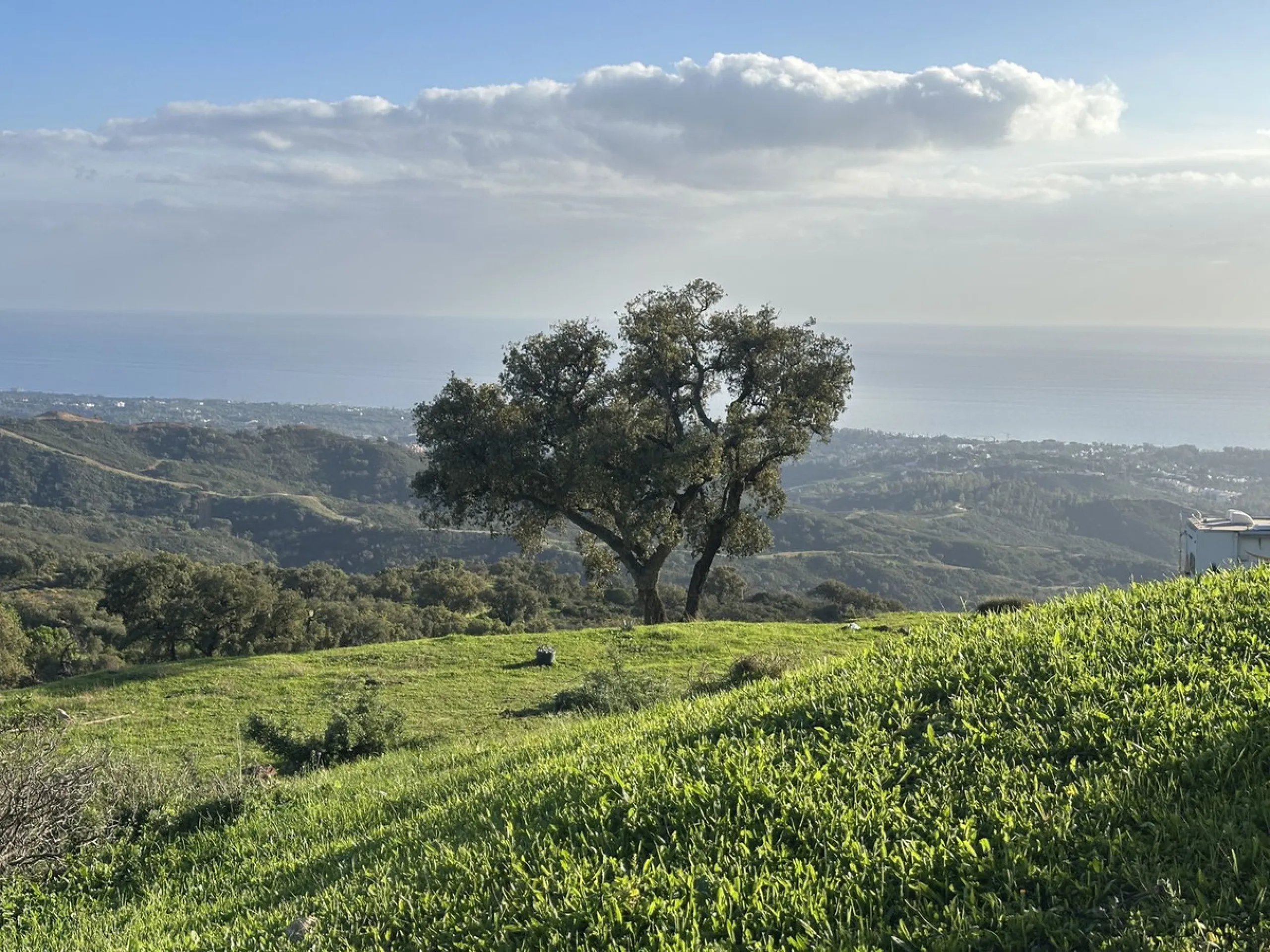 Plot - Land в продаже в Marbella, Málaga. Площадь участка 34000 м²