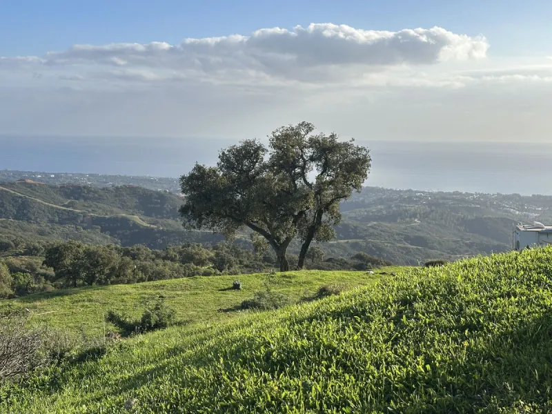 Plot - Land в продаже в Marbella, Málaga. Площадь участка 34000 м²