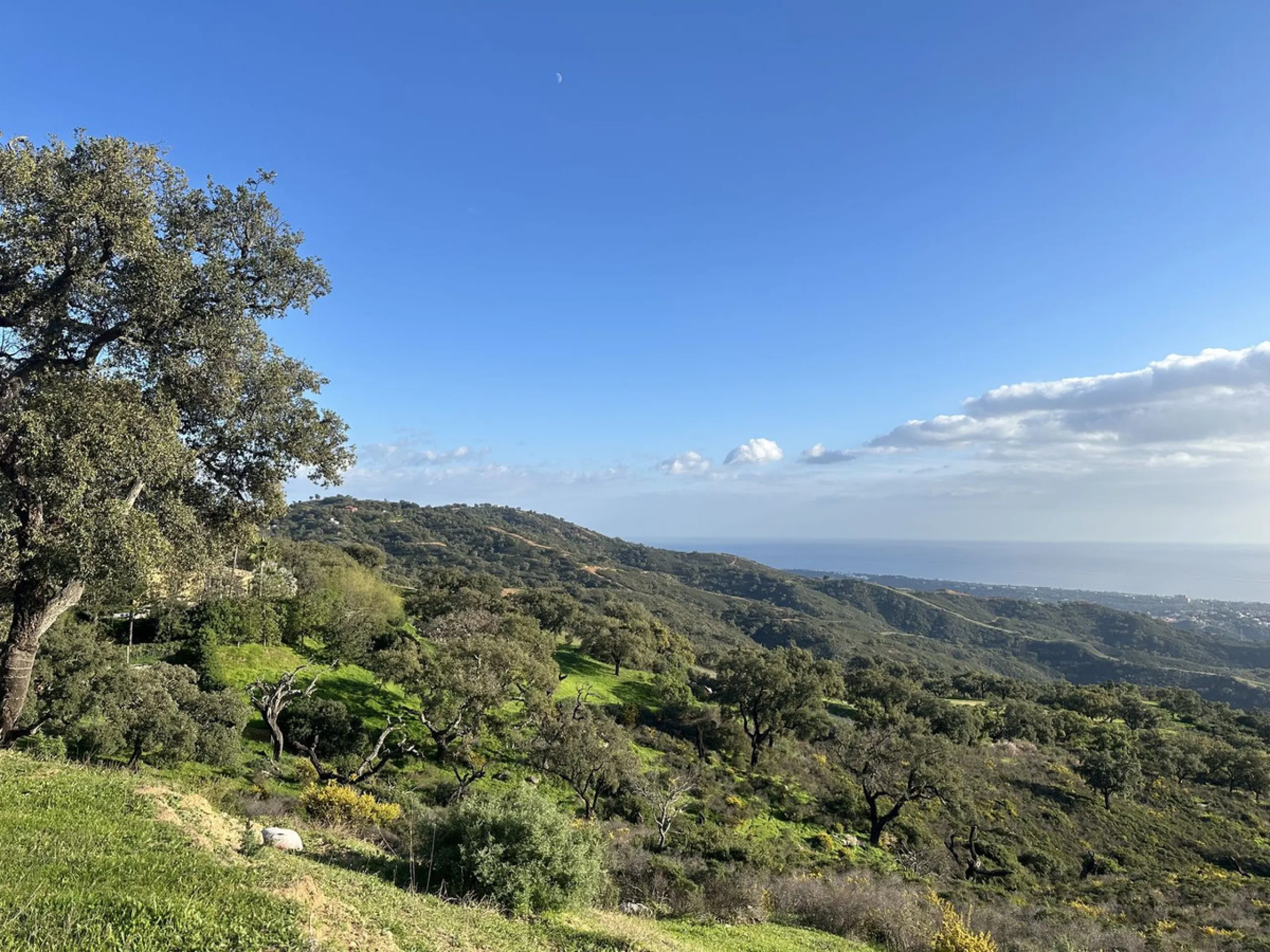 Plot - Land в продаже в Marbella, Málaga. Площадь участка 34000 м²