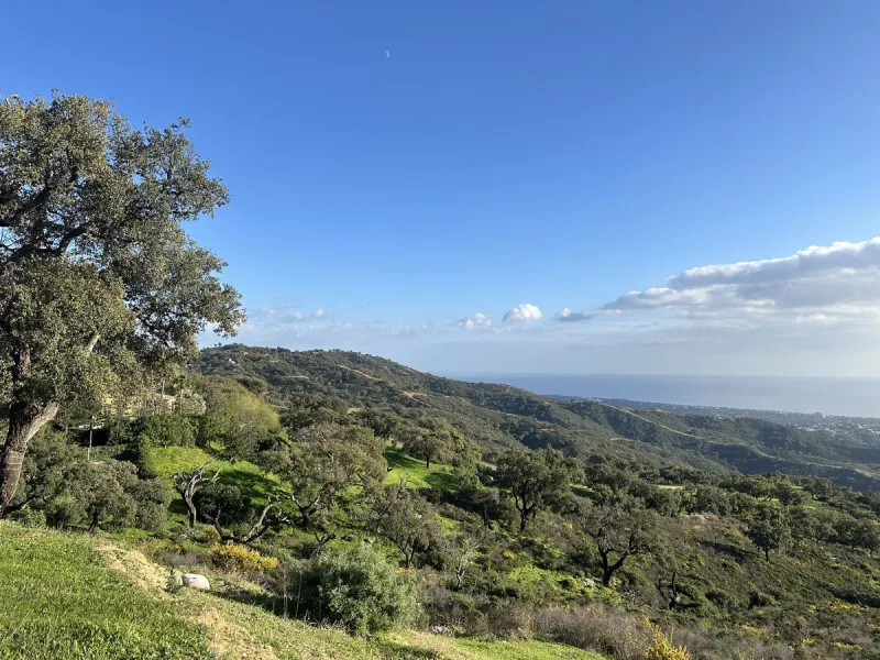 Plot - Land в продаже в Marbella, Málaga. Площадь участка 34000 м²