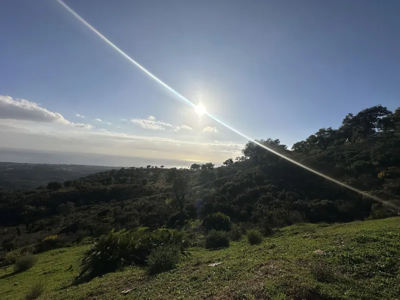 Plot - Land в продаже в Marbella, Málaga. Площадь участка 34000 м²