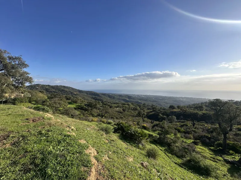 Plot - Land в продаже в Marbella, Málaga. Площадь участка 34000 м²