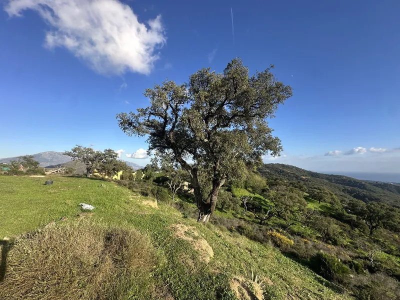 Plot - Land в продаже в Marbella, Málaga. Площадь участка 34000 м²