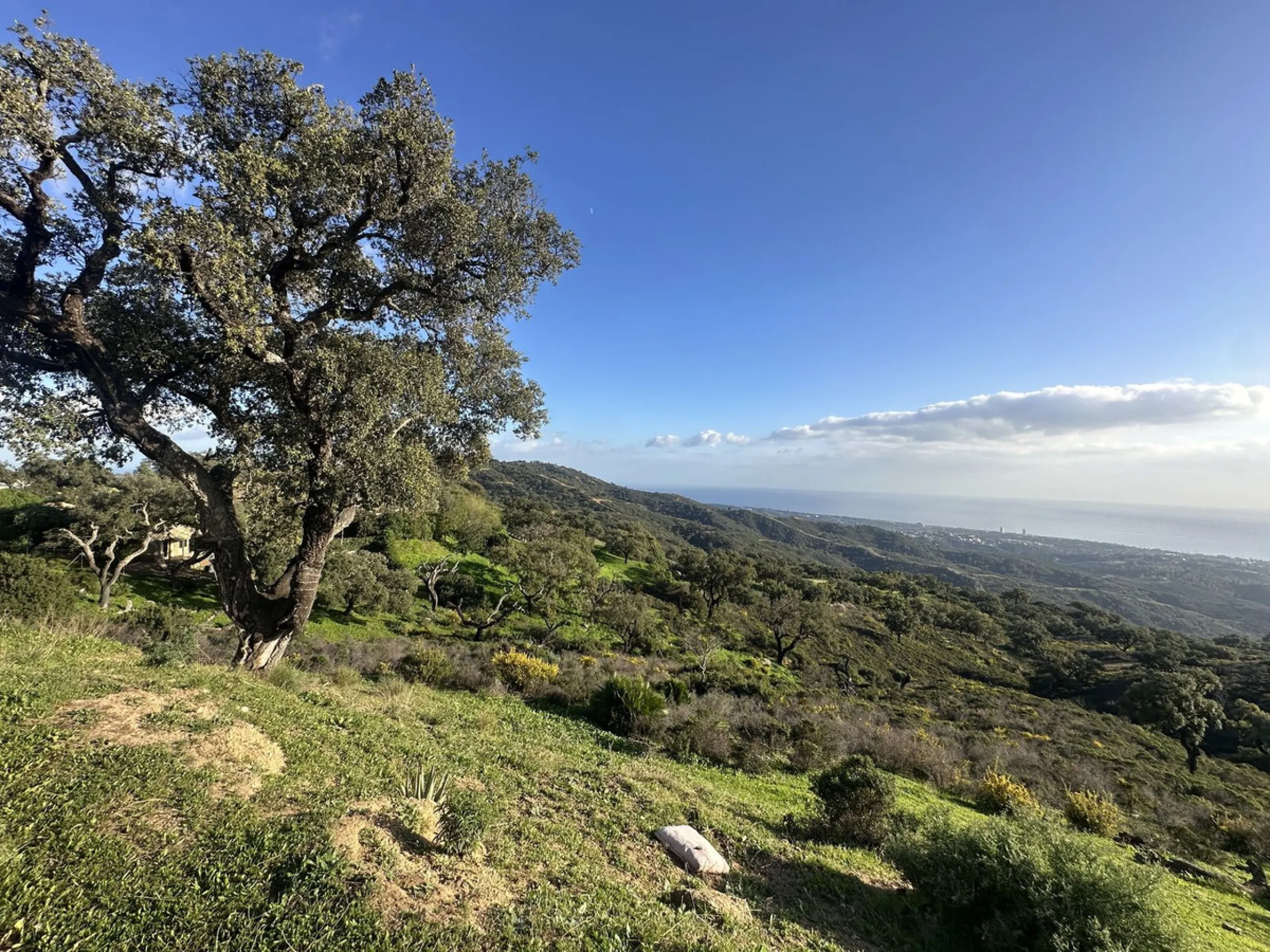 Plot - Land в продаже в Marbella, Málaga. Площадь участка 34000 м²