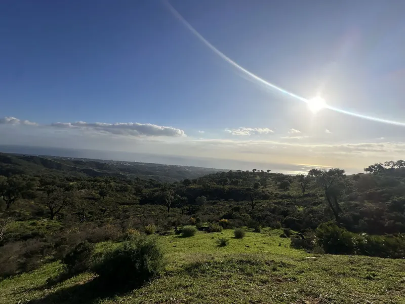 Plot - Land в продаже в Marbella, Málaga. Площадь участка 34000 м²
