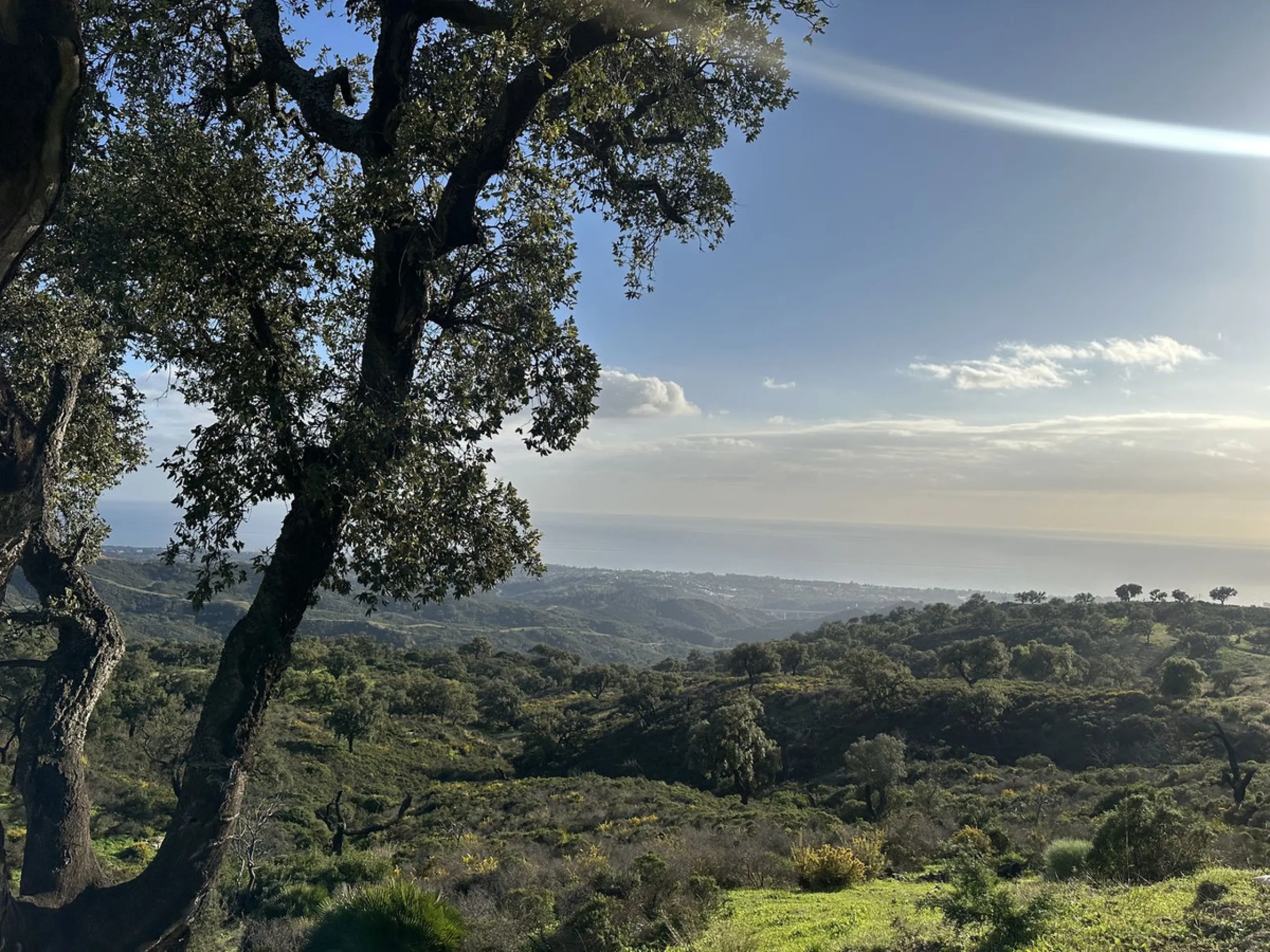 Plot - Land в продаже в Marbella, Málaga. Площадь участка 34000 м²
