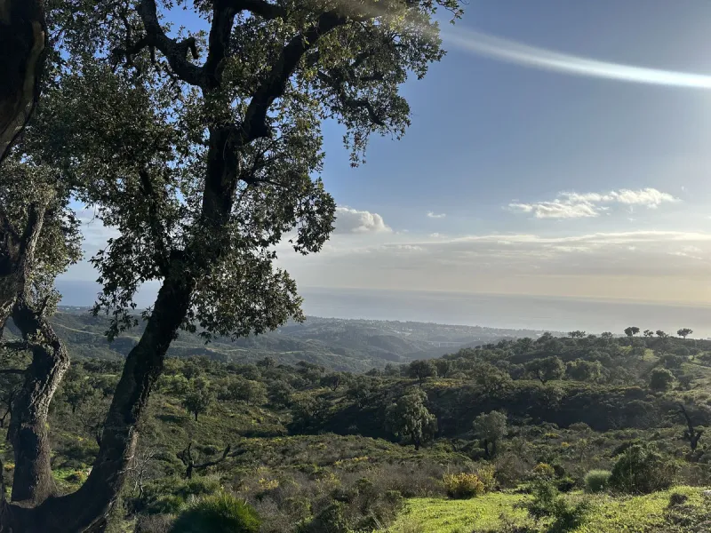 Plot - Land в продаже в Marbella, Málaga. Площадь участка 34000 м²