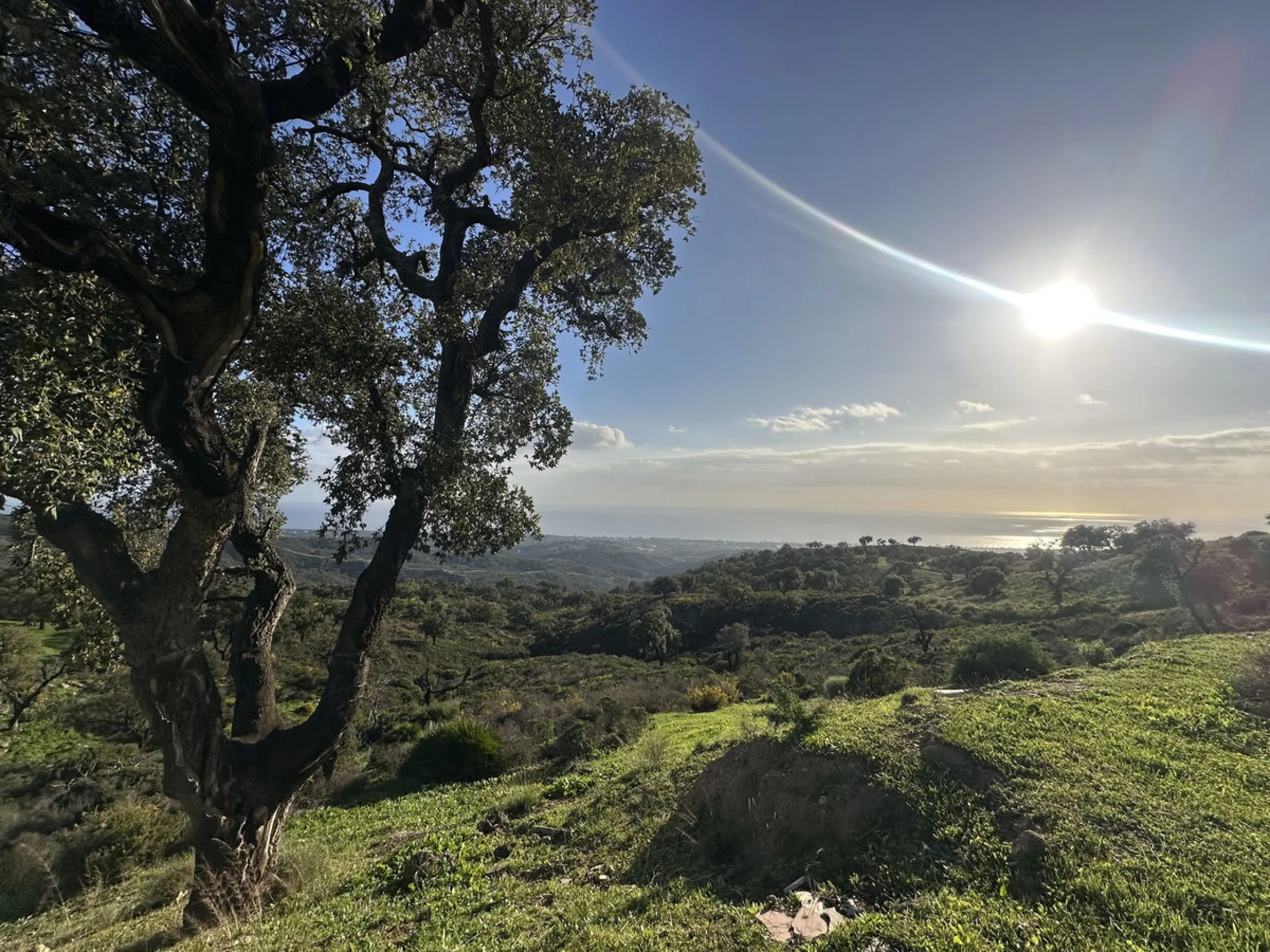 Plot - Land в продаже в Marbella, Málaga. Площадь участка 34000 м²