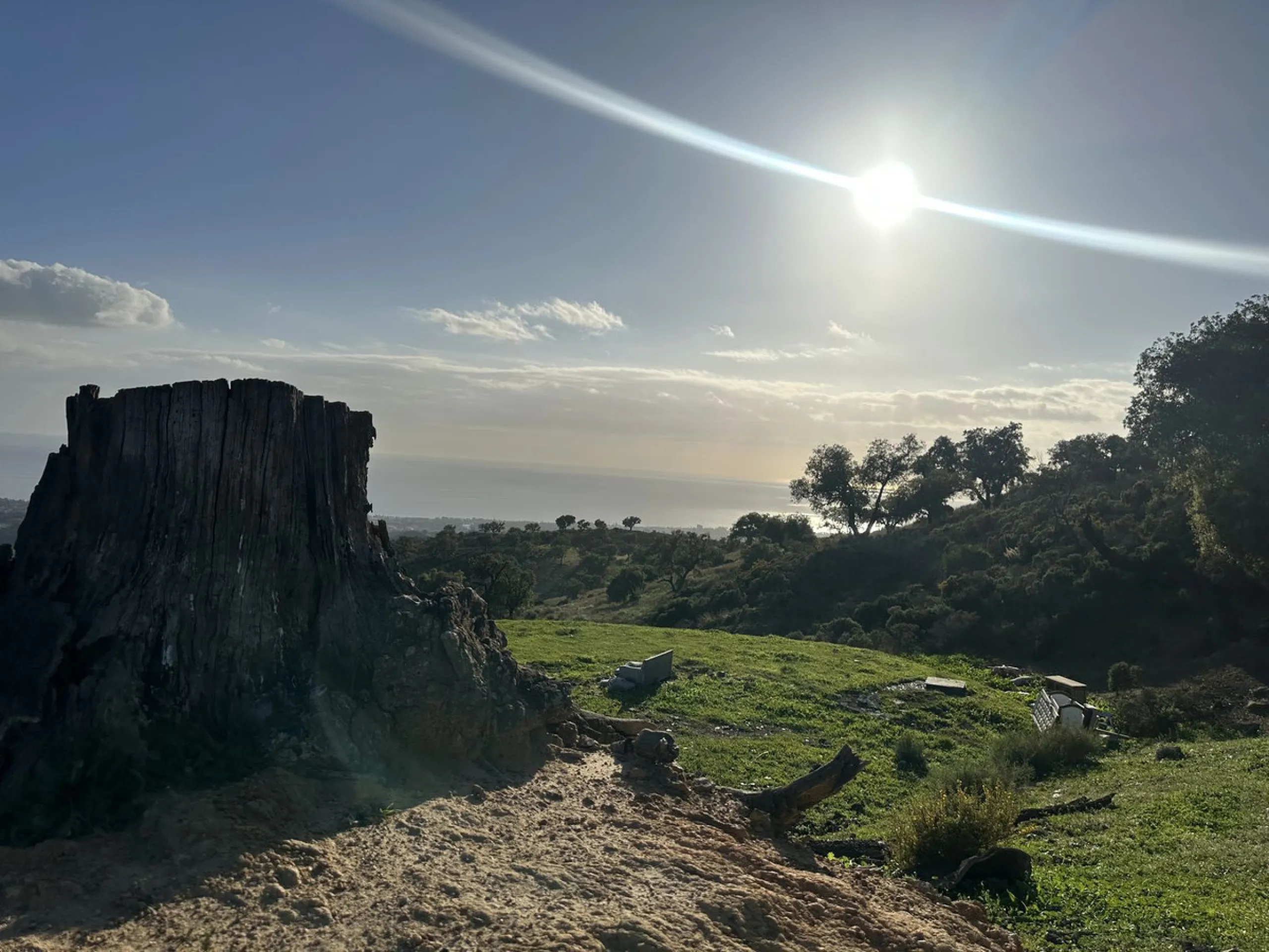 Plot - Land в продаже в Marbella, Málaga. Площадь участка 34000 м²