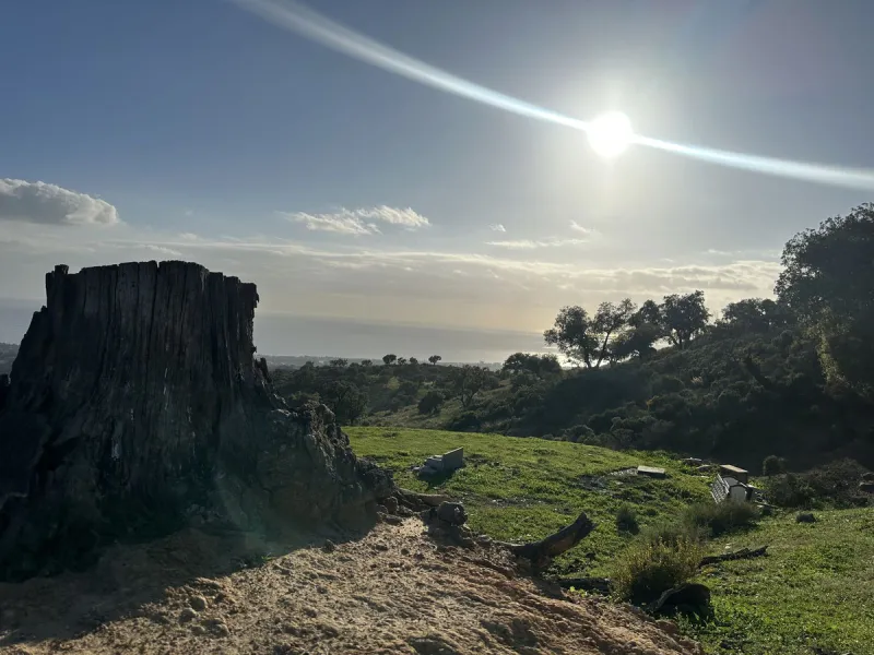 Plot - Land в продаже в Marbella, Málaga. Площадь участка 34000 м²