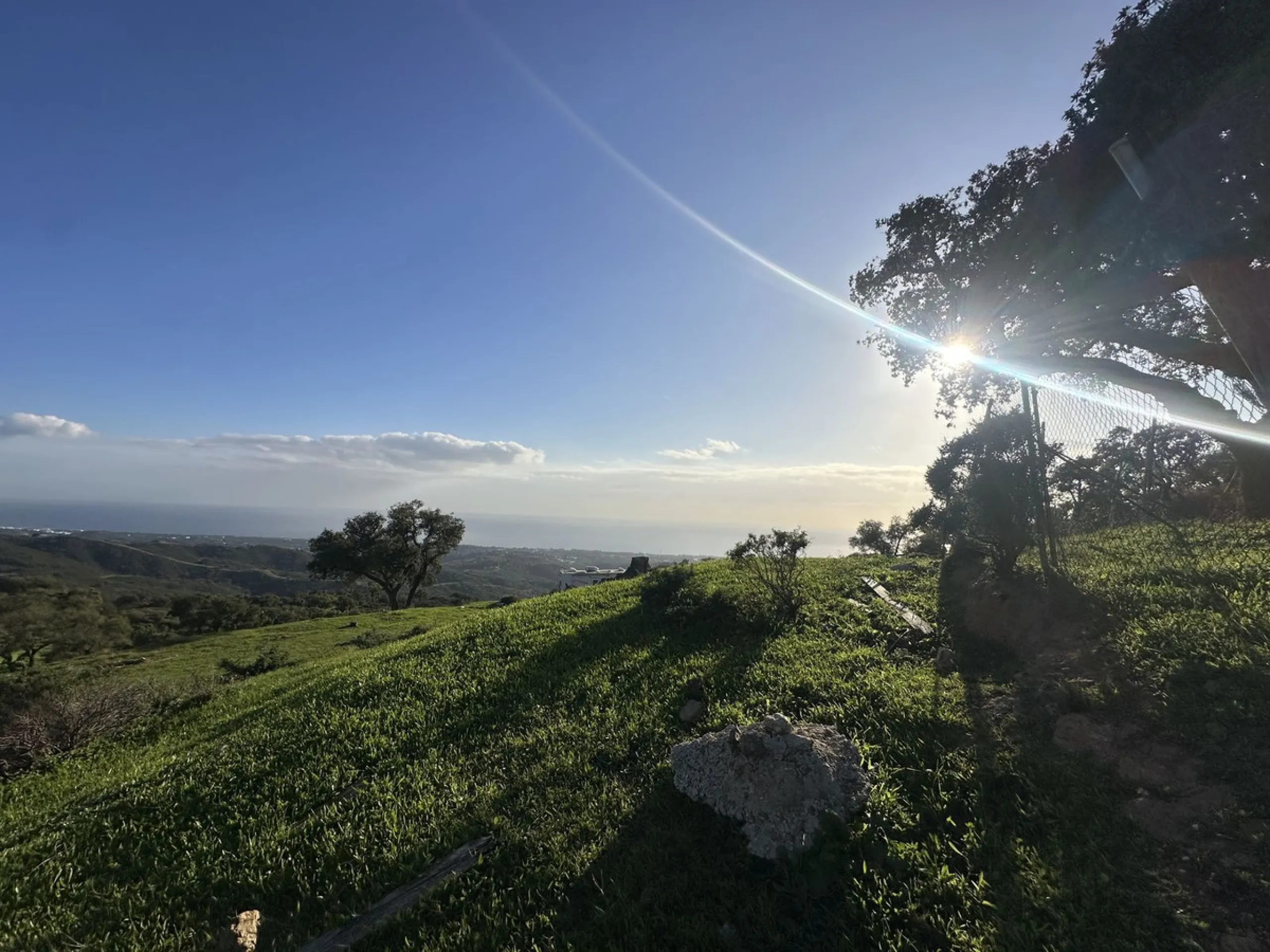 Plot - Land в продаже в Marbella, Málaga. Площадь участка 34000 м²