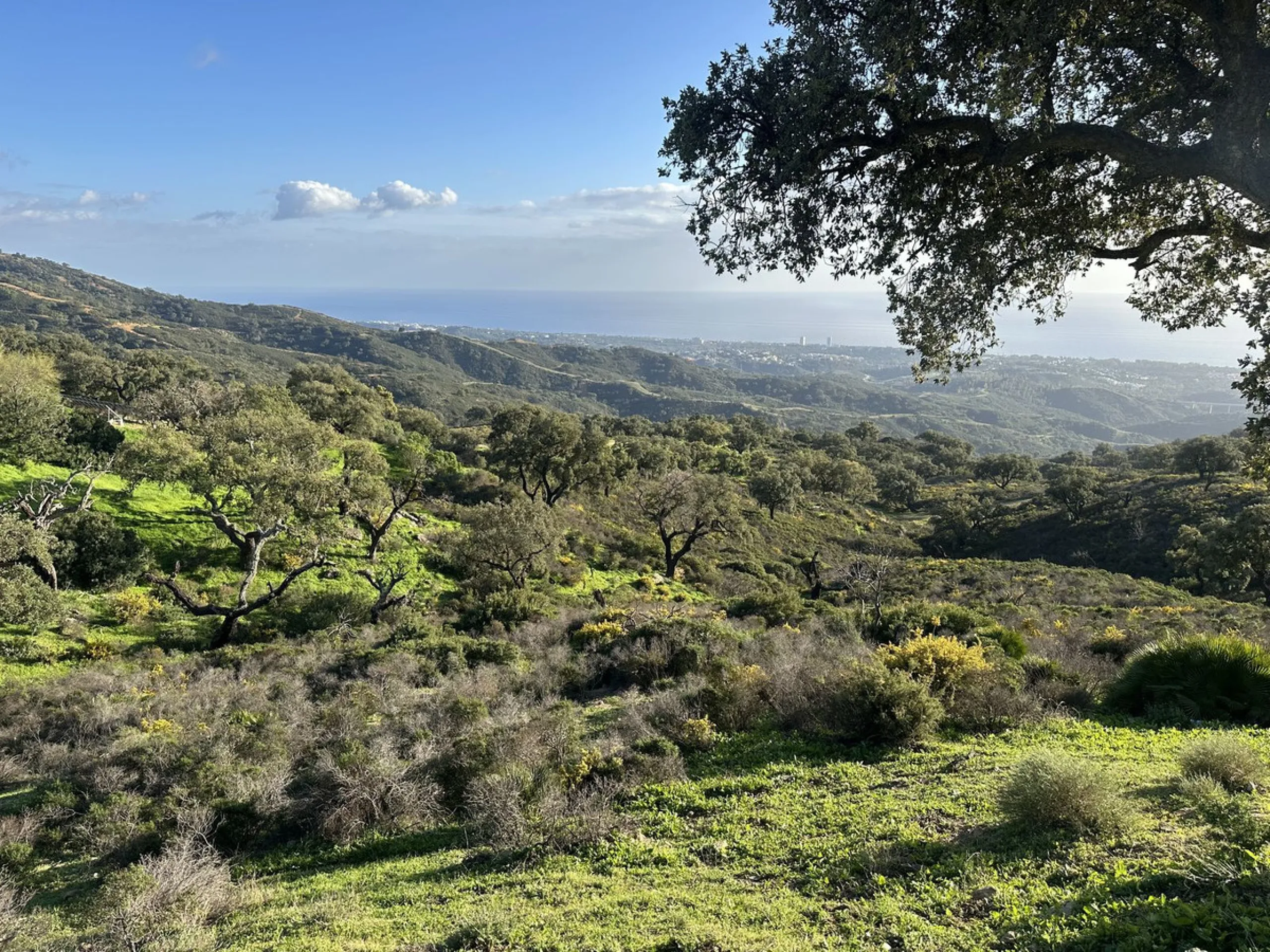 Plot - Land в продаже в Marbella, Málaga. Площадь участка 34000 м²