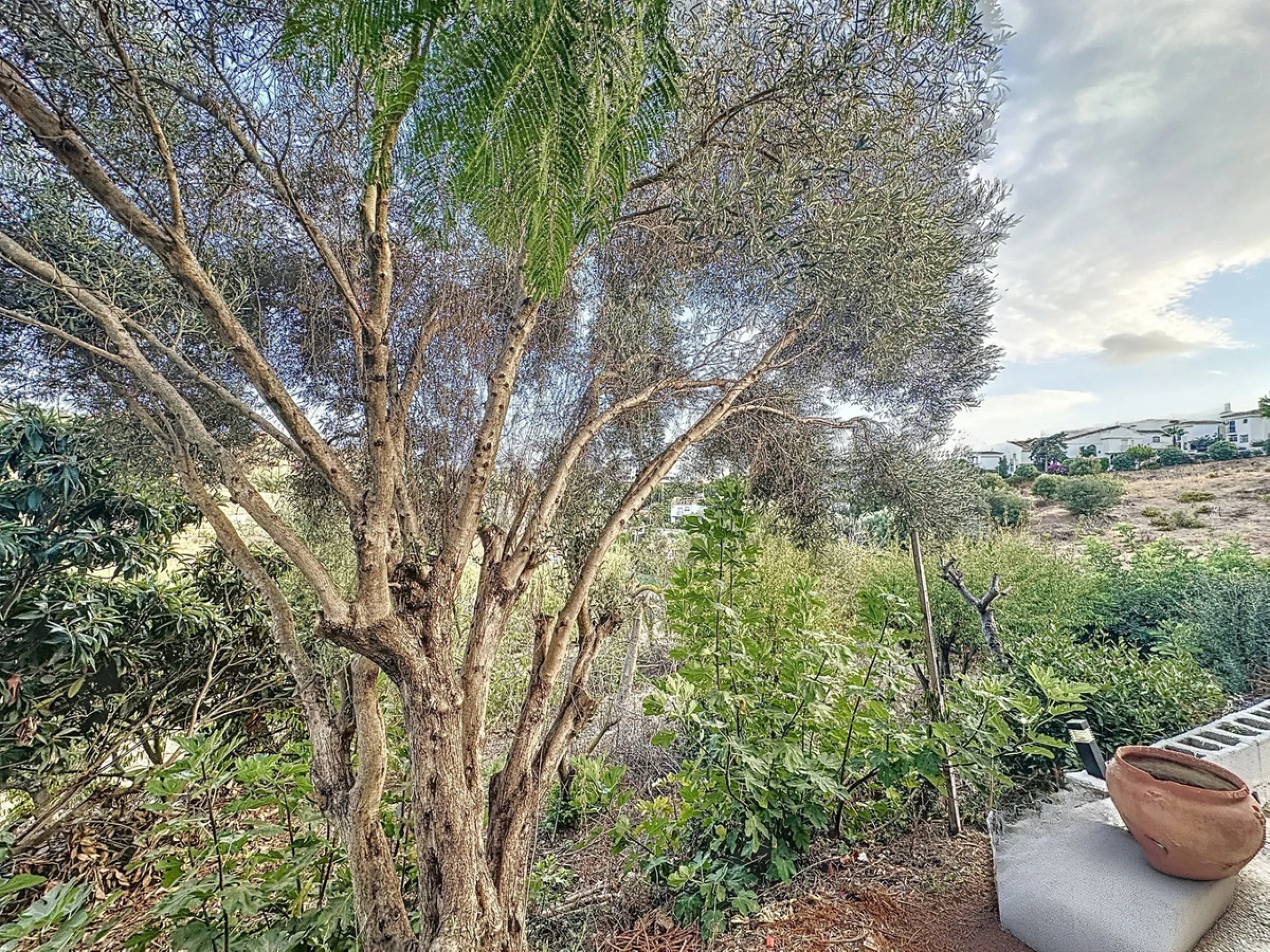 Located in the charming area of Seghers, in Estepona, this large rustic estate of 2,760 m² offers a unique opportunity to enjoy the tranquility of the countryside without giving up the proximity of essential services.