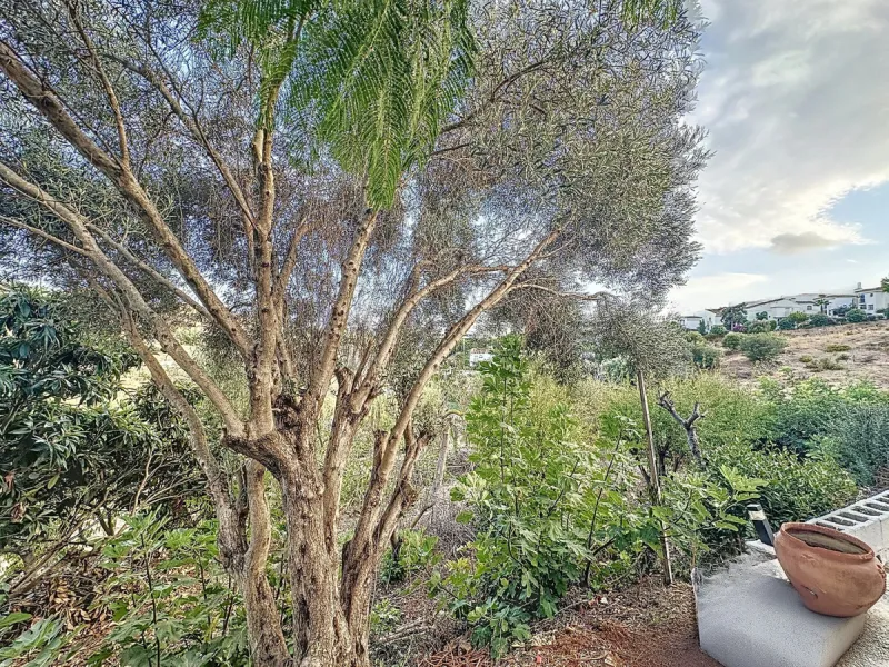 Located in the charming area of Seghers, in Estepona, this large rustic estate of 2,760 m² offers a unique opportunity to enjoy the tranquility of the countryside without giving up the proximity of essential services.