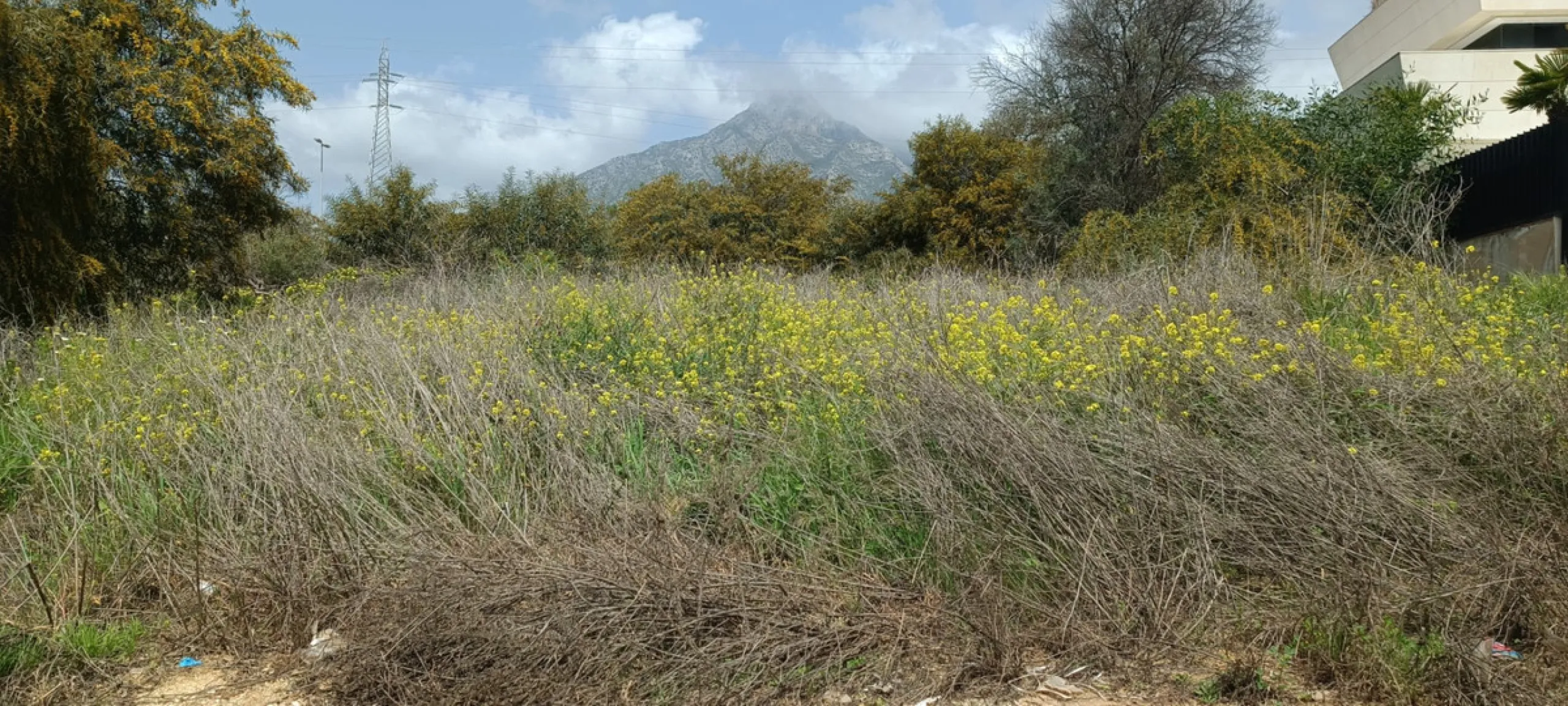 Residential Plot, Nagüeles, Costa del Sol.