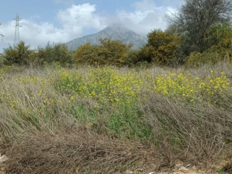 Residential Plot, Nagüeles, Costa del Sol.