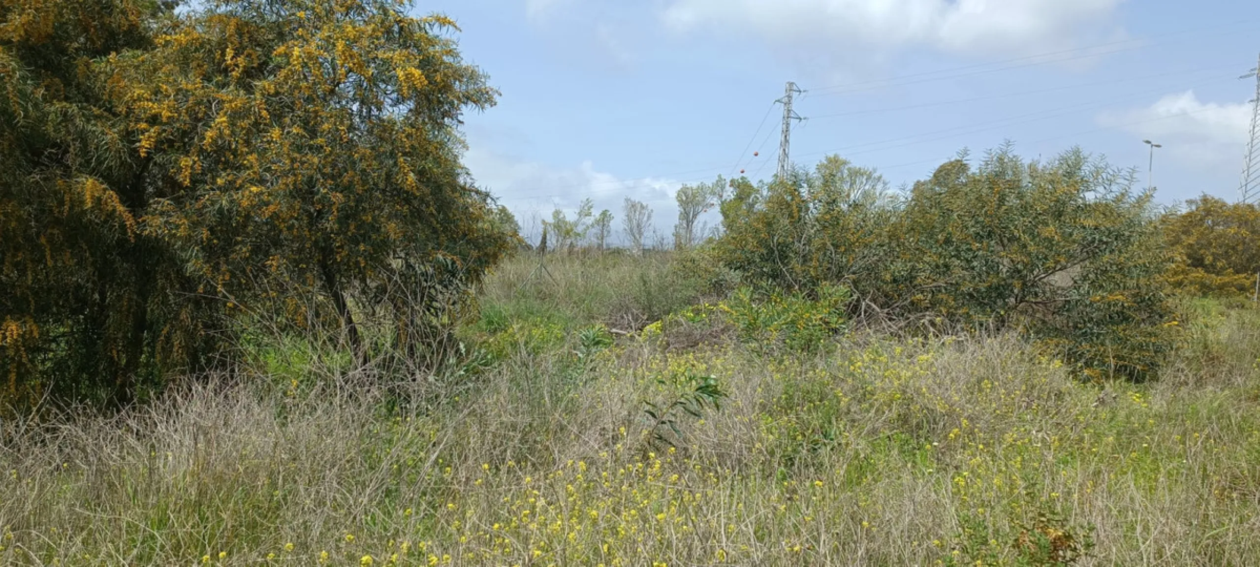 Residential Plot, Nagüeles, Costa del Sol.