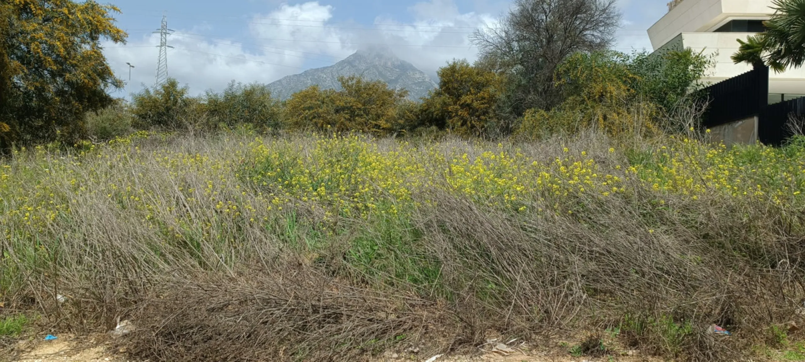 Residential Plot, Nagüeles, Costa del Sol.