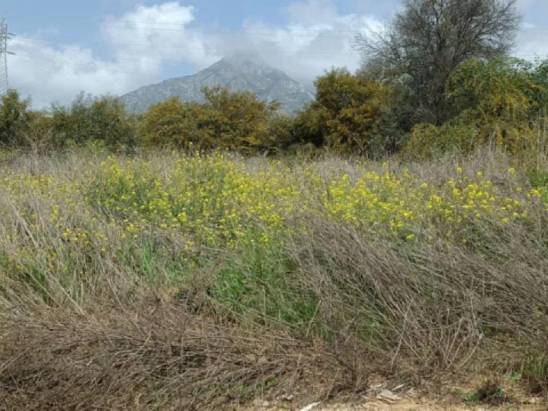 Residential Plot, Nagüeles, Costa del Sol.