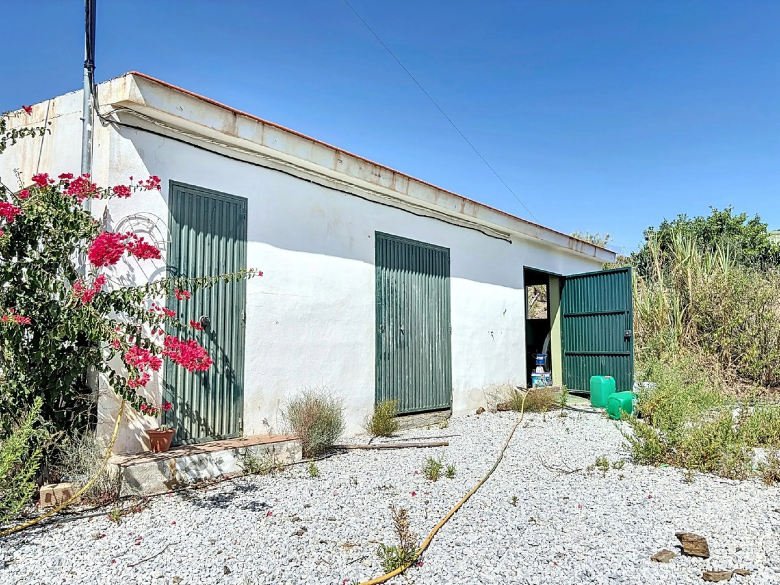 A finca for sale in Cajiz, Malaga, with a total area of 37,714 m2. This property is ideal for agriculture, especially focused on mango production, as it is home to 2,100 trees of the Keitt variety, recognized for its high productivity and demand in the ma