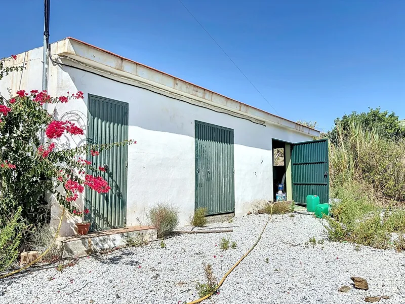 A finca for sale in Cajiz, Malaga, with a total area of 37,714 m2. This property is ideal for agriculture, especially focused on mango production, as it is home to 2,100 trees of the Keitt variety, recognized for its high productivity and demand in the ma