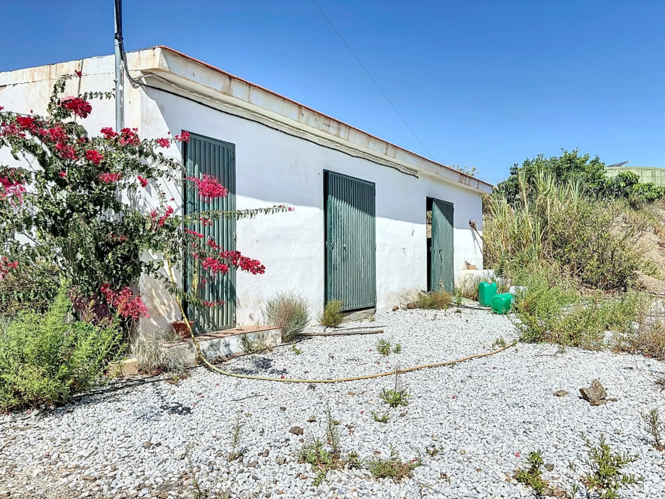 A finca for sale in Cajiz, Malaga, with a total area of 37,714 m2. This property is ideal for agriculture, especially focused on mango production, as it is home to 2,100 trees of the Keitt variety, recognized for its high productivity and demand in the ma