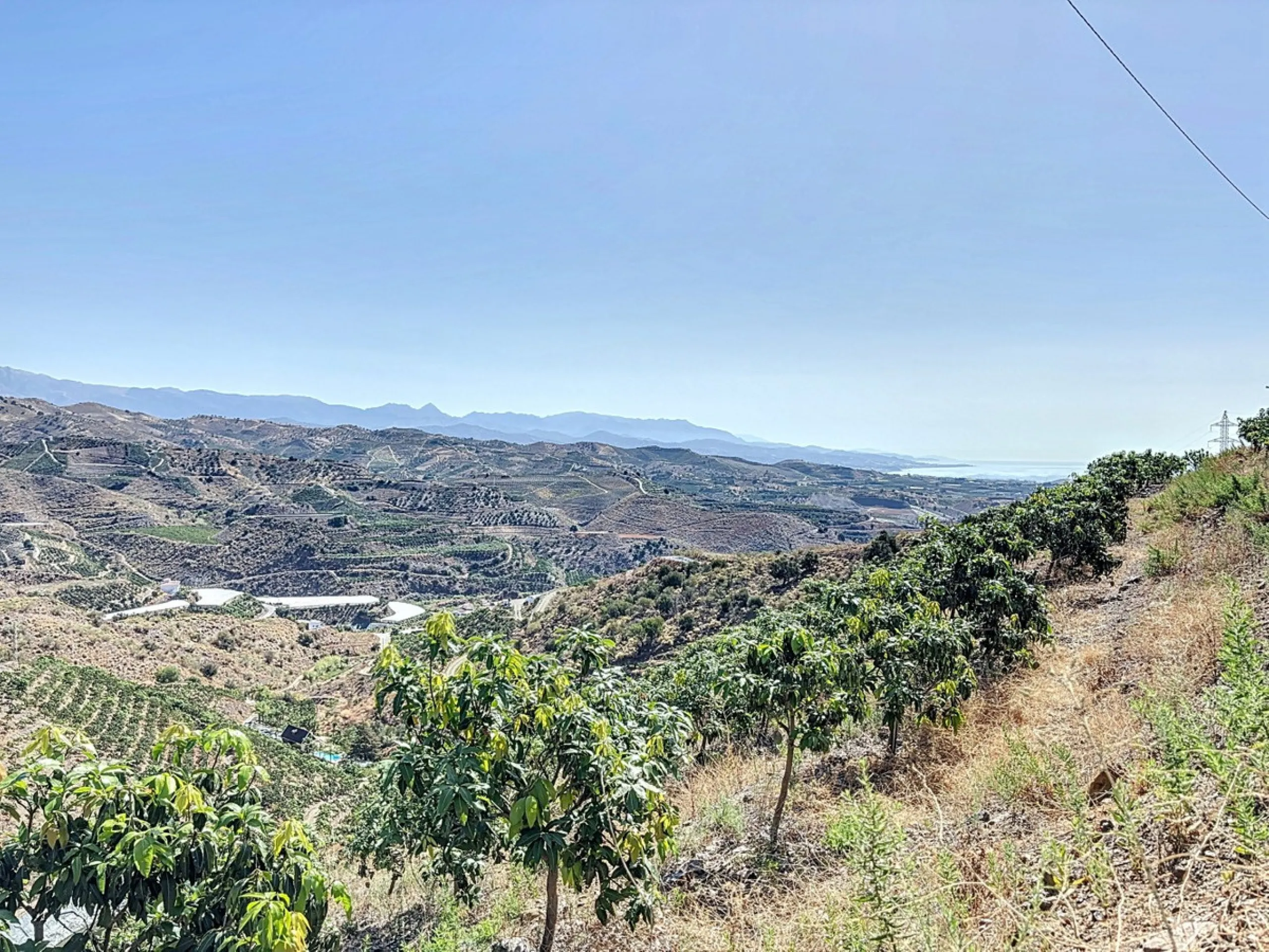 A finca for sale in Cajiz, Malaga, with a total area of 37,714 m2. This property is ideal for agriculture, especially focused on mango production, as it is home to 2,100 trees of the Keitt variety, recognized for its high productivity and demand in the ma