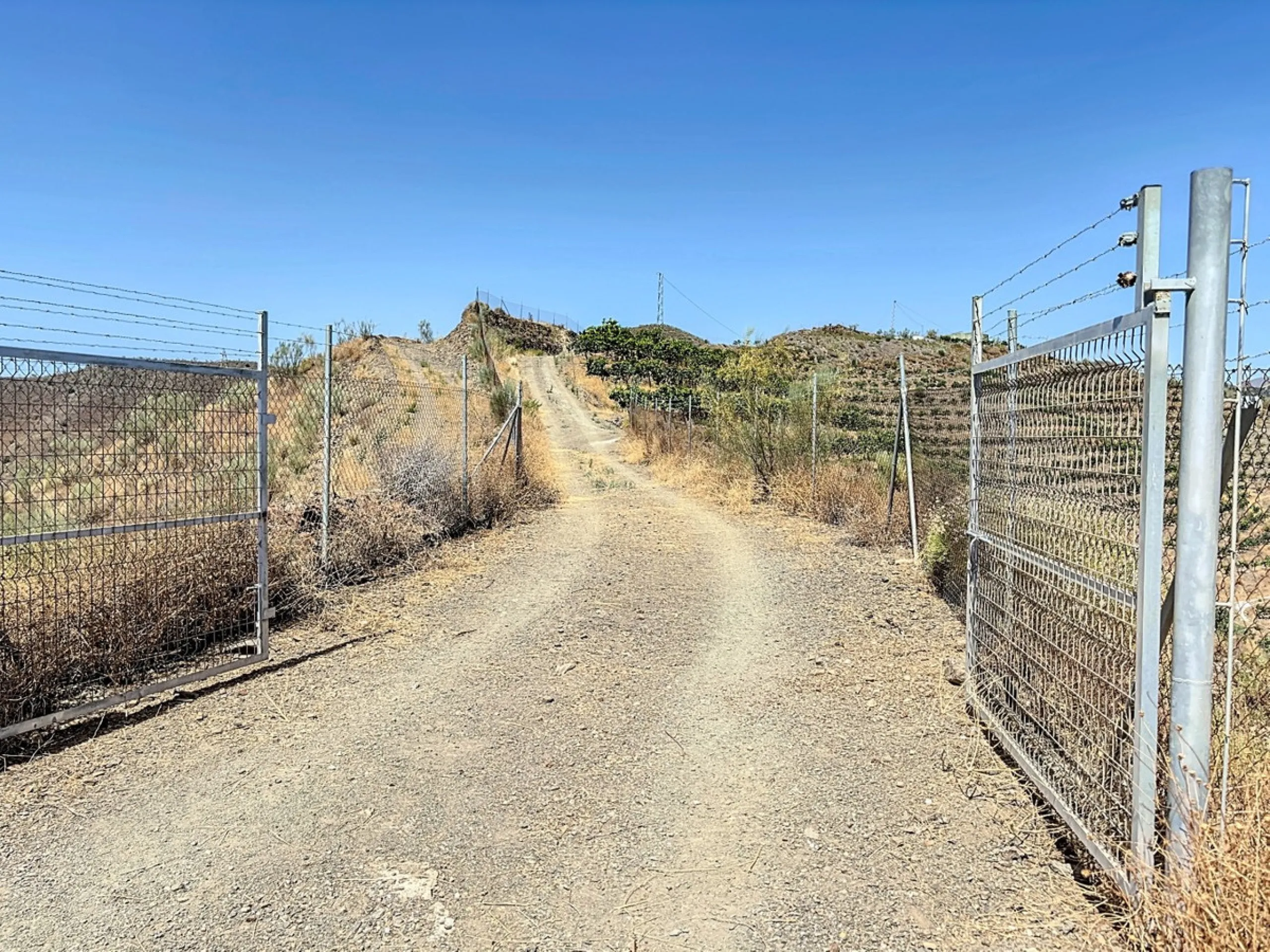 A finca for sale in Cajiz, Malaga, with a total area of 37,714 m2. This property is ideal for agriculture, especially focused on mango production, as it is home to 2,100 trees of the Keitt variety, recognized for its high productivity and demand in the ma