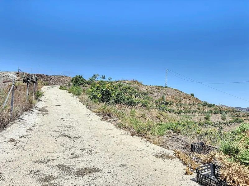 A finca for sale in Cajiz, Malaga, with a total area of 37,714 m2. This property is ideal for agriculture, especially focused on mango production, as it is home to 2,100 trees of the Keitt variety, recognized for its high productivity and demand in the ma