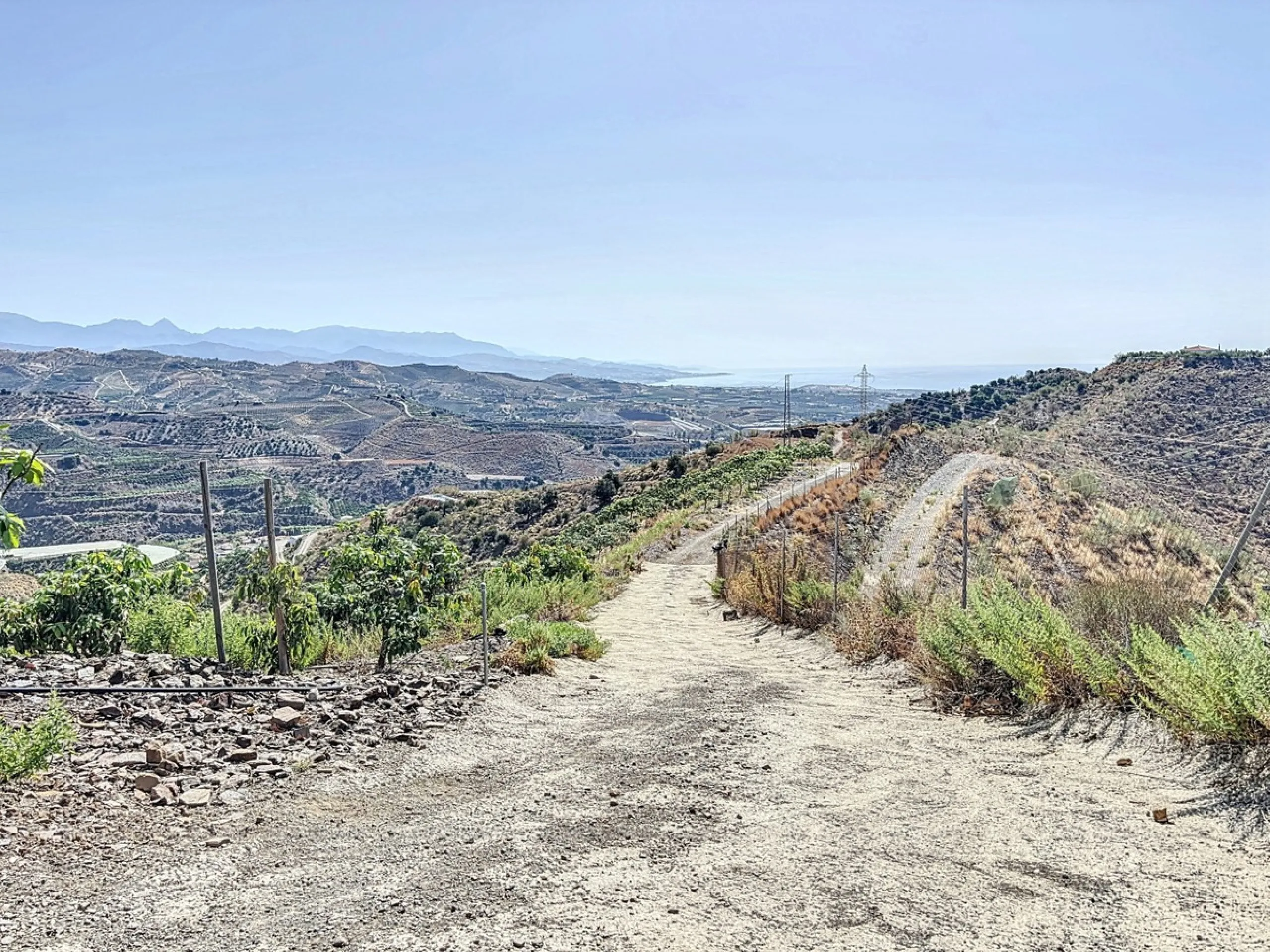 A finca for sale in Cajiz, Malaga, with a total area of 37,714 m2. This property is ideal for agriculture, especially focused on mango production, as it is home to 2,100 trees of the Keitt variety, recognized for its high productivity and demand in the ma